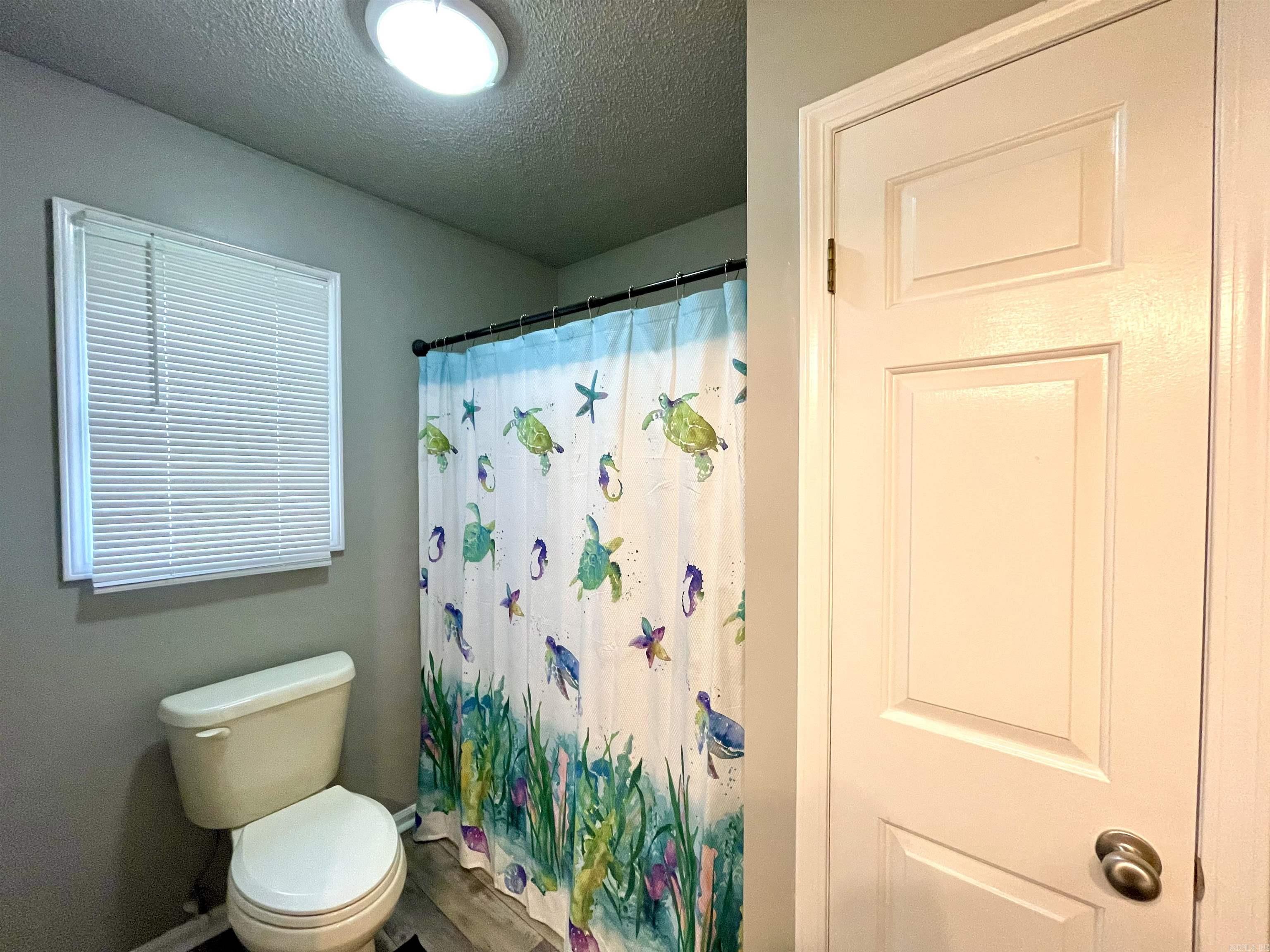 300 N Willow  Trumann, AR