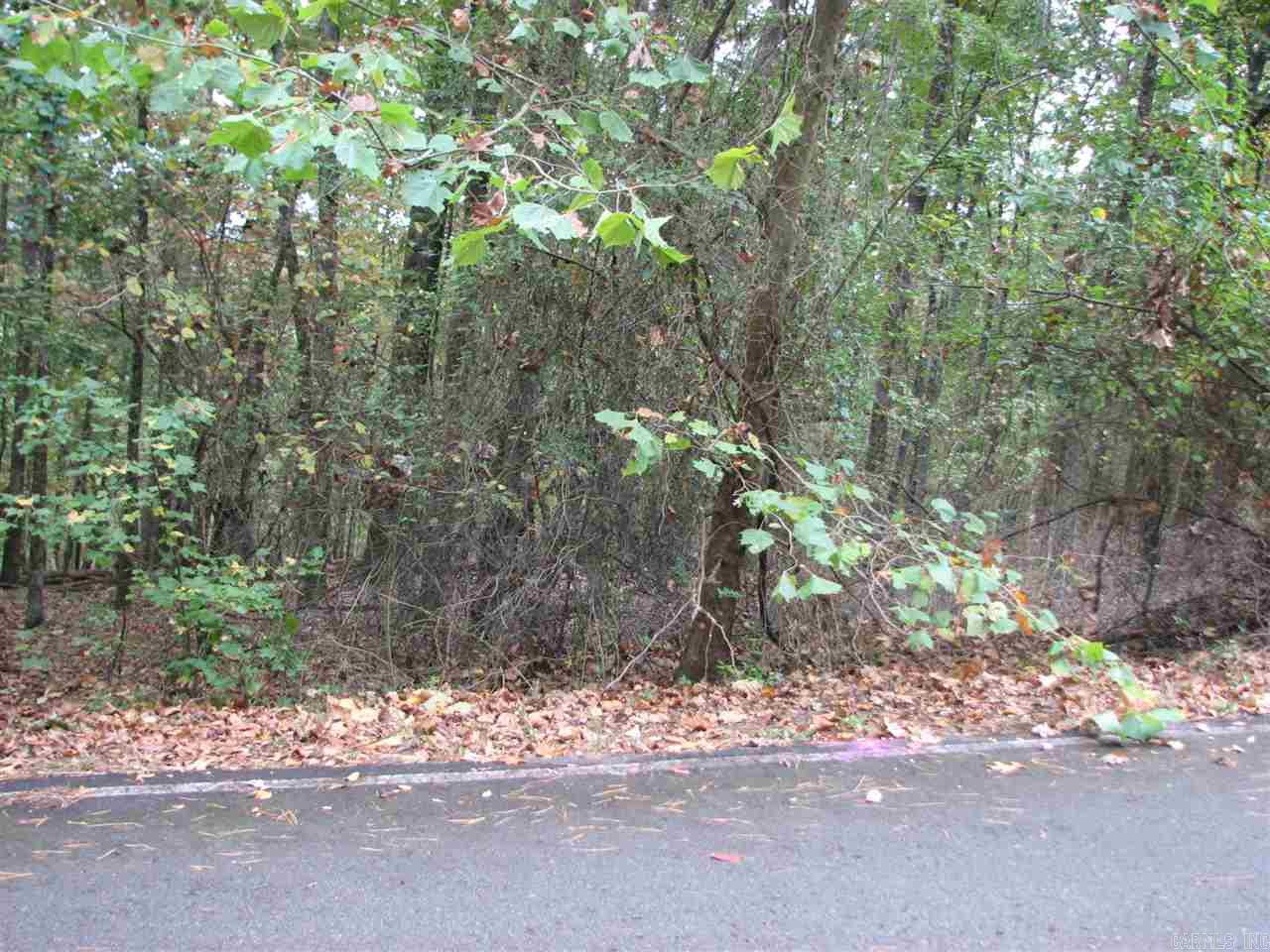 27 Lago  Hot Springs Village, AR