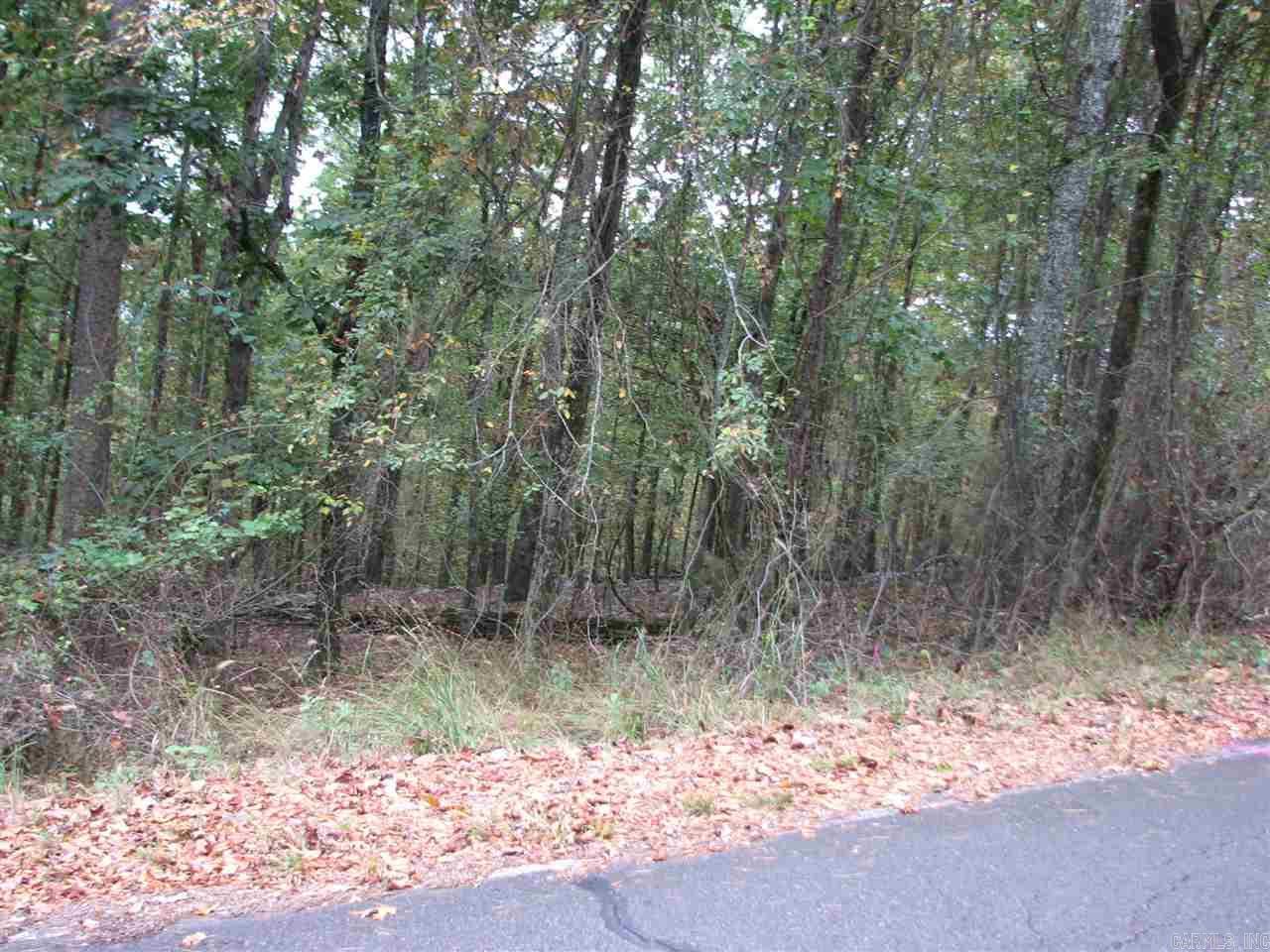 27 Lago  Hot Springs Village, AR