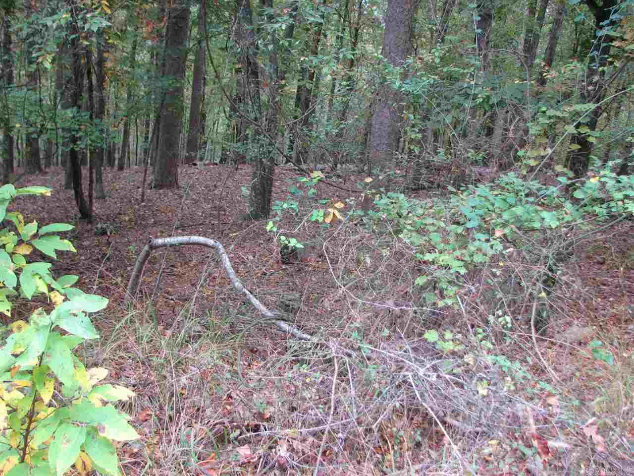 27 Lago  Hot Springs Village, AR