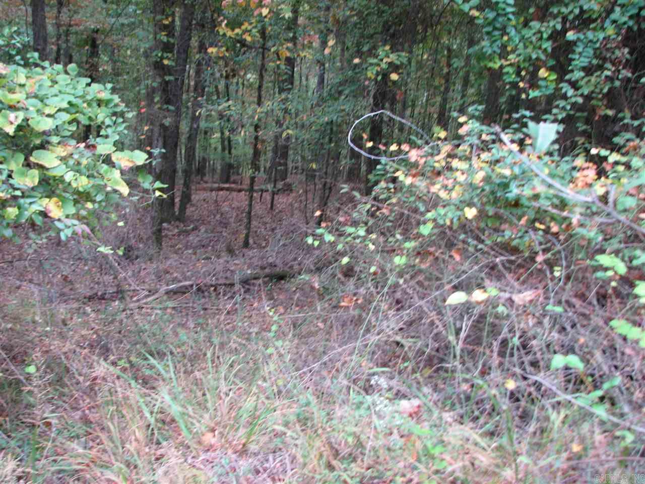 27 Lago  Hot Springs Village, AR