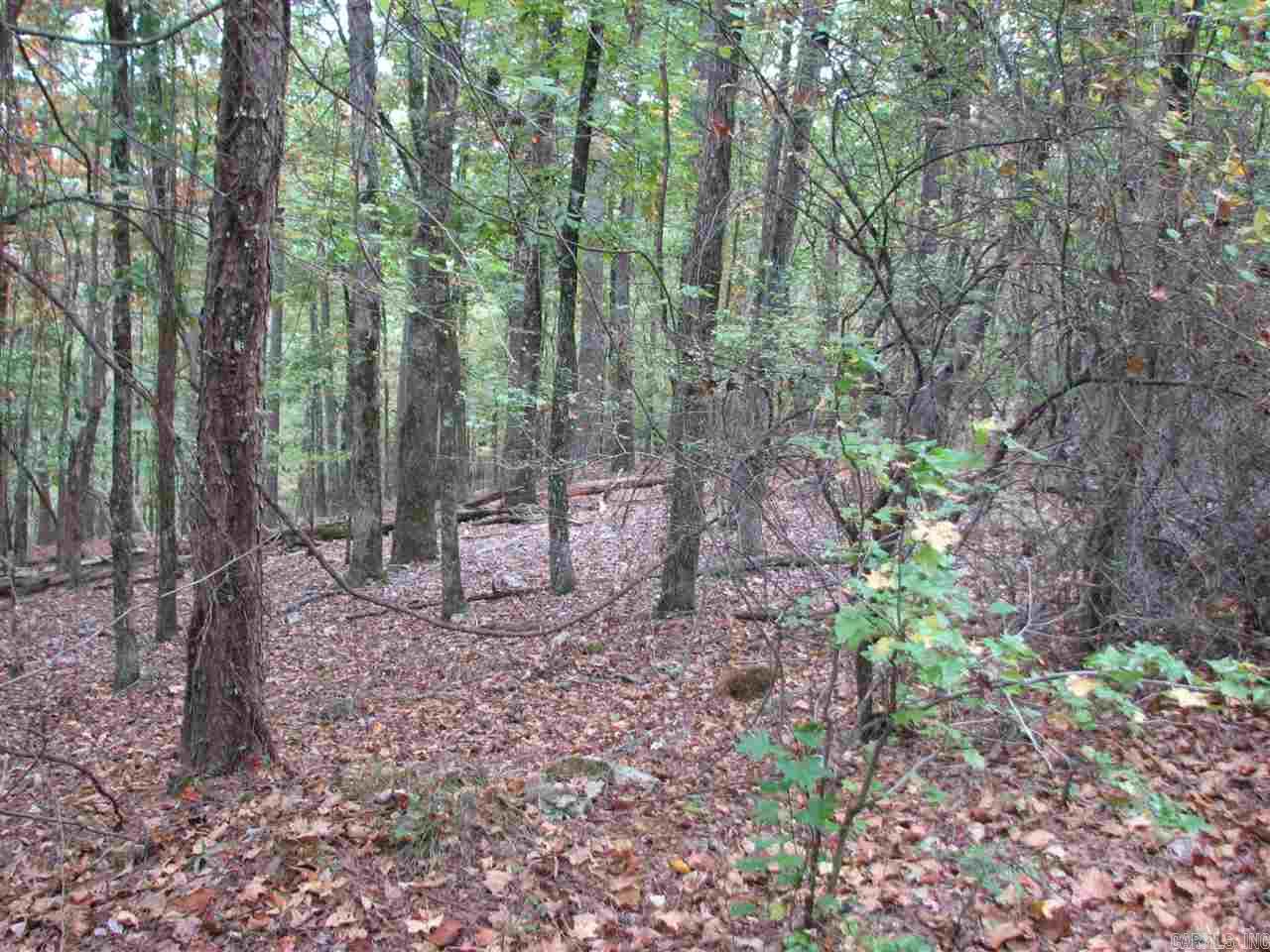 27 Lago  Hot Springs Village, AR