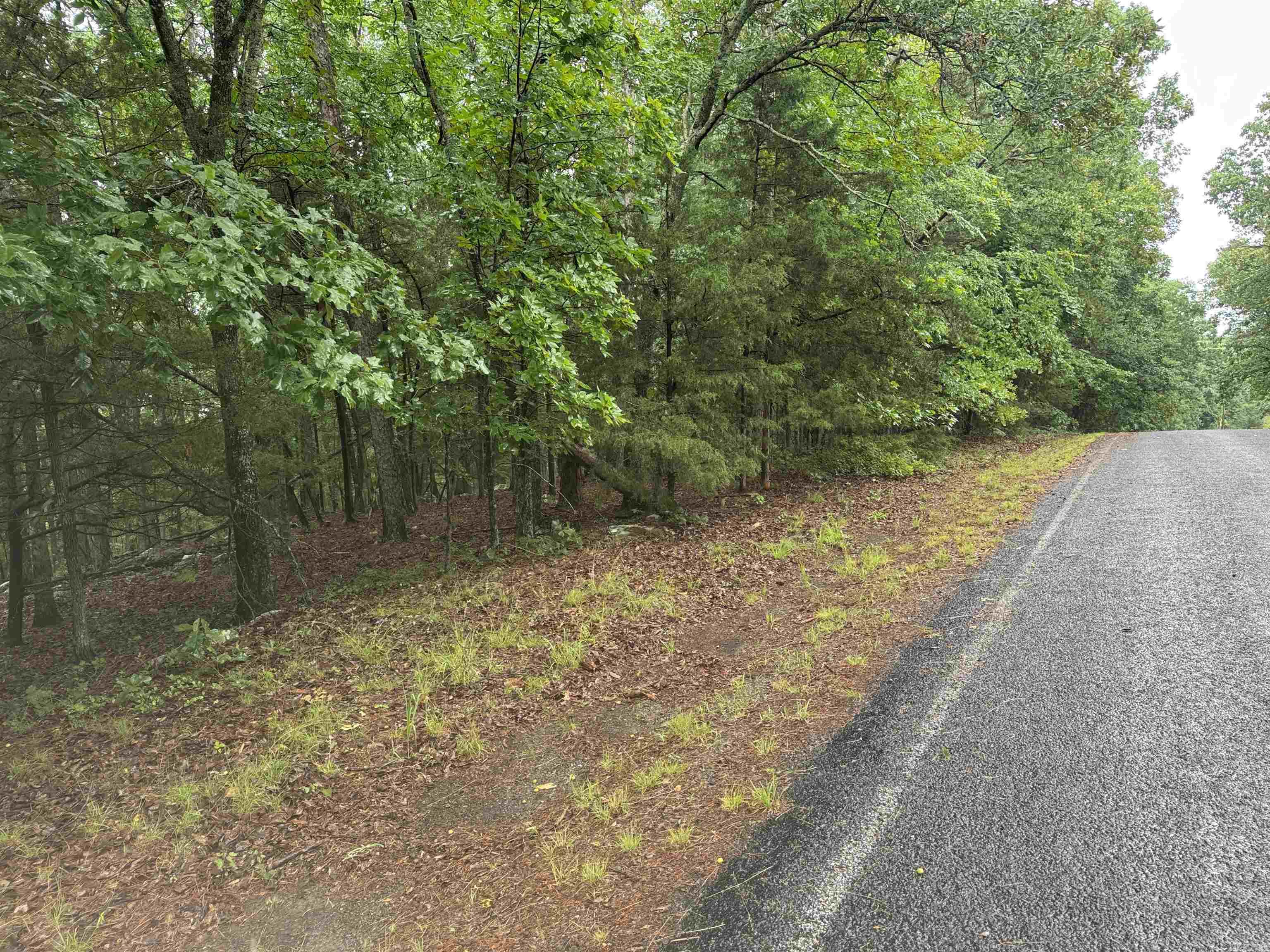 Lot 36 Vista Lane  Fairfield Bay, AR