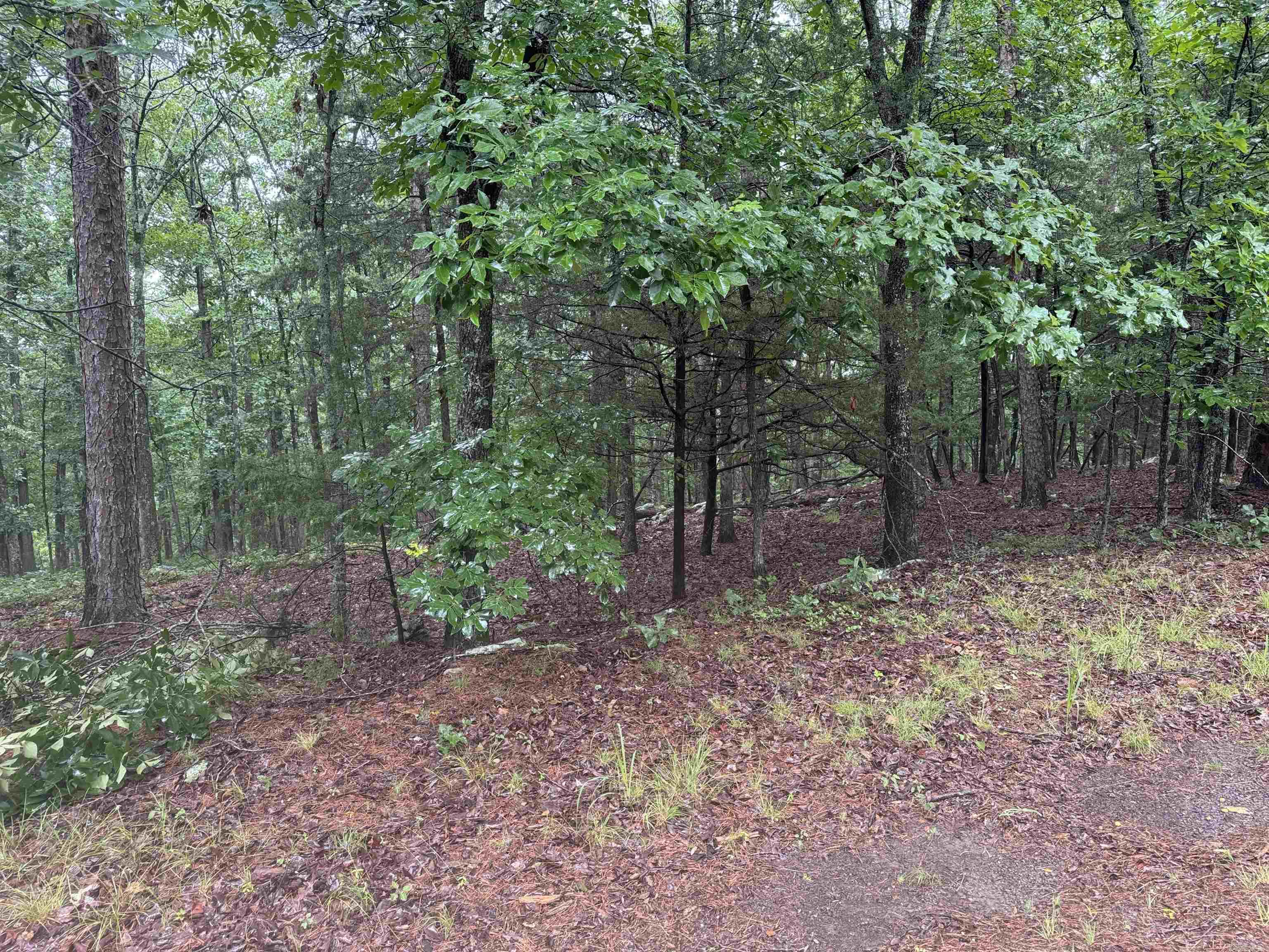 Lot 36 Vista Lane  Fairfield Bay, AR