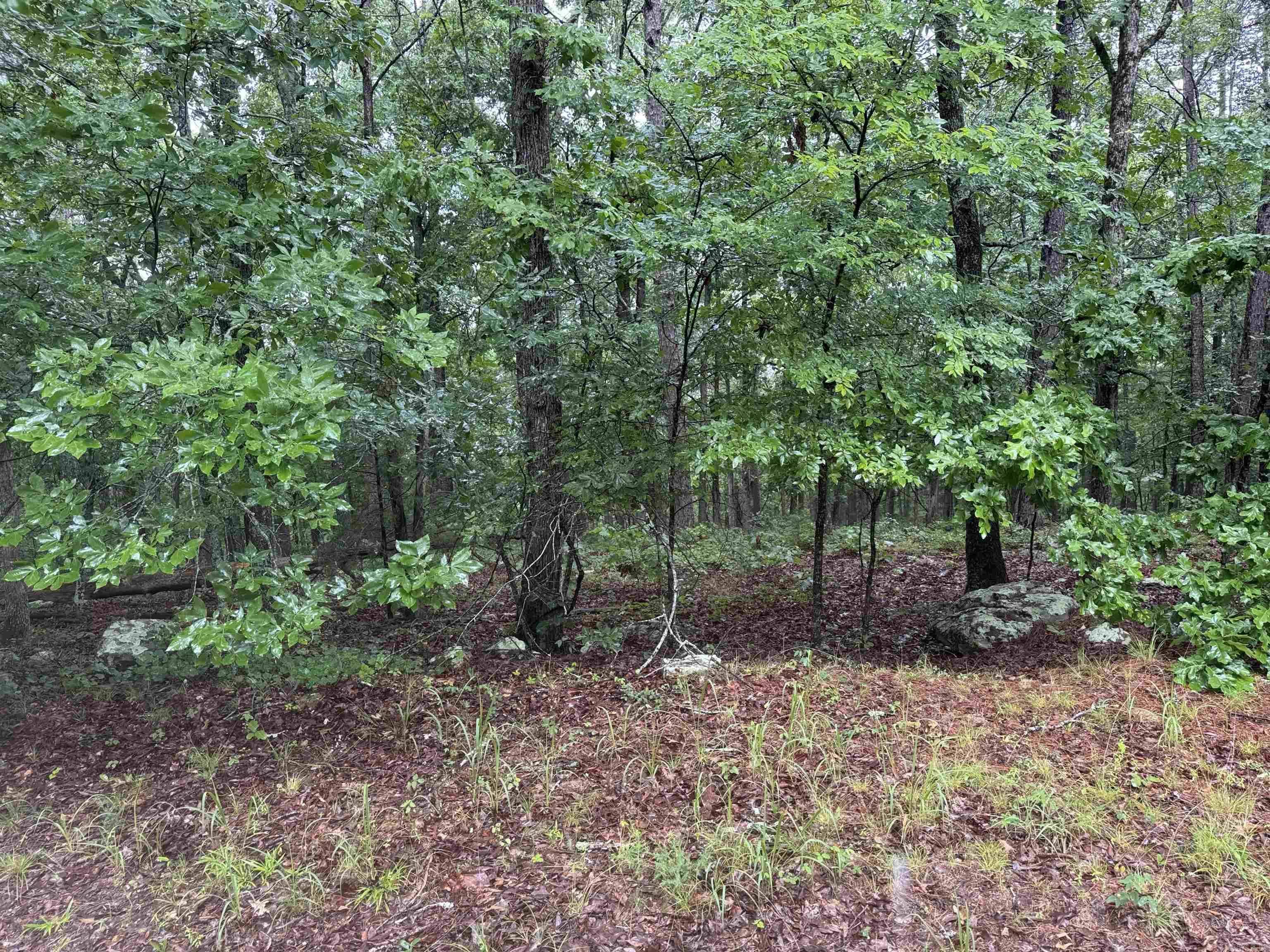 Lot 36 Vista Lane  Fairfield Bay, AR