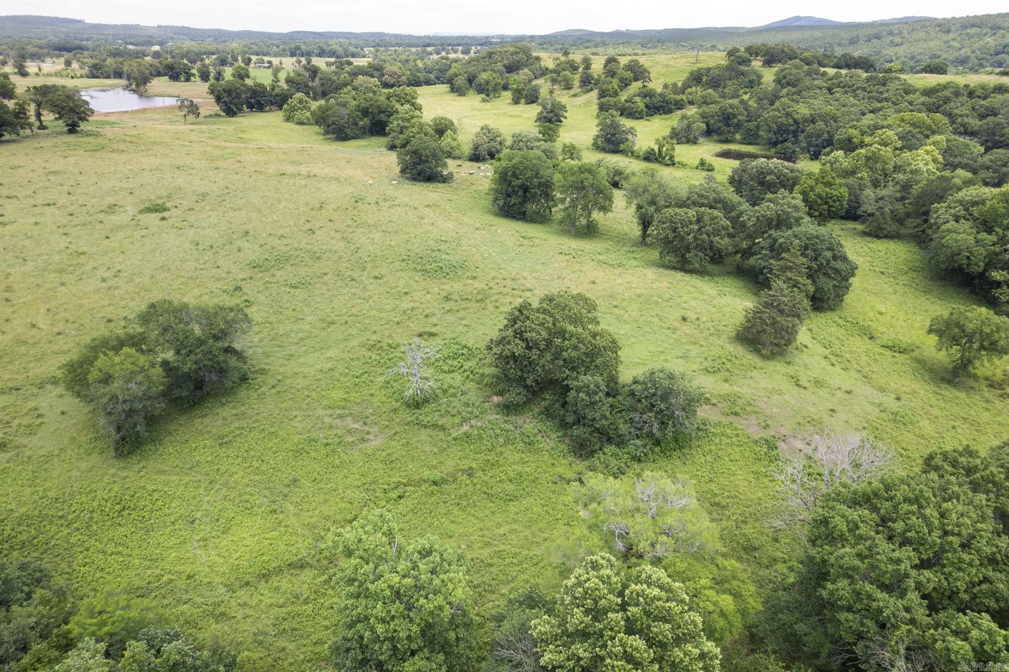 815 Old County County Road N Plainview, AR