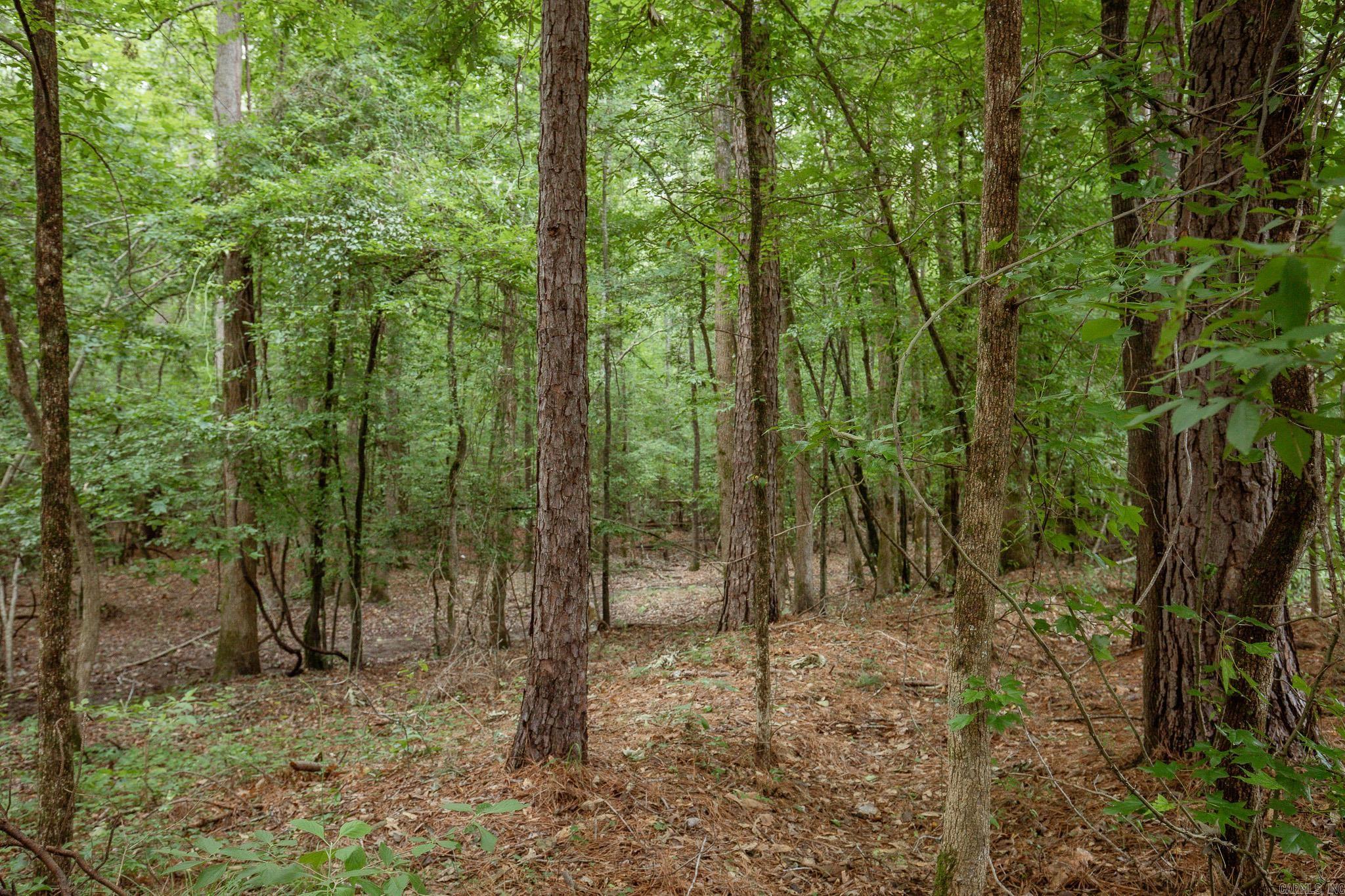 154 County Rd 736  Sheridan, AR