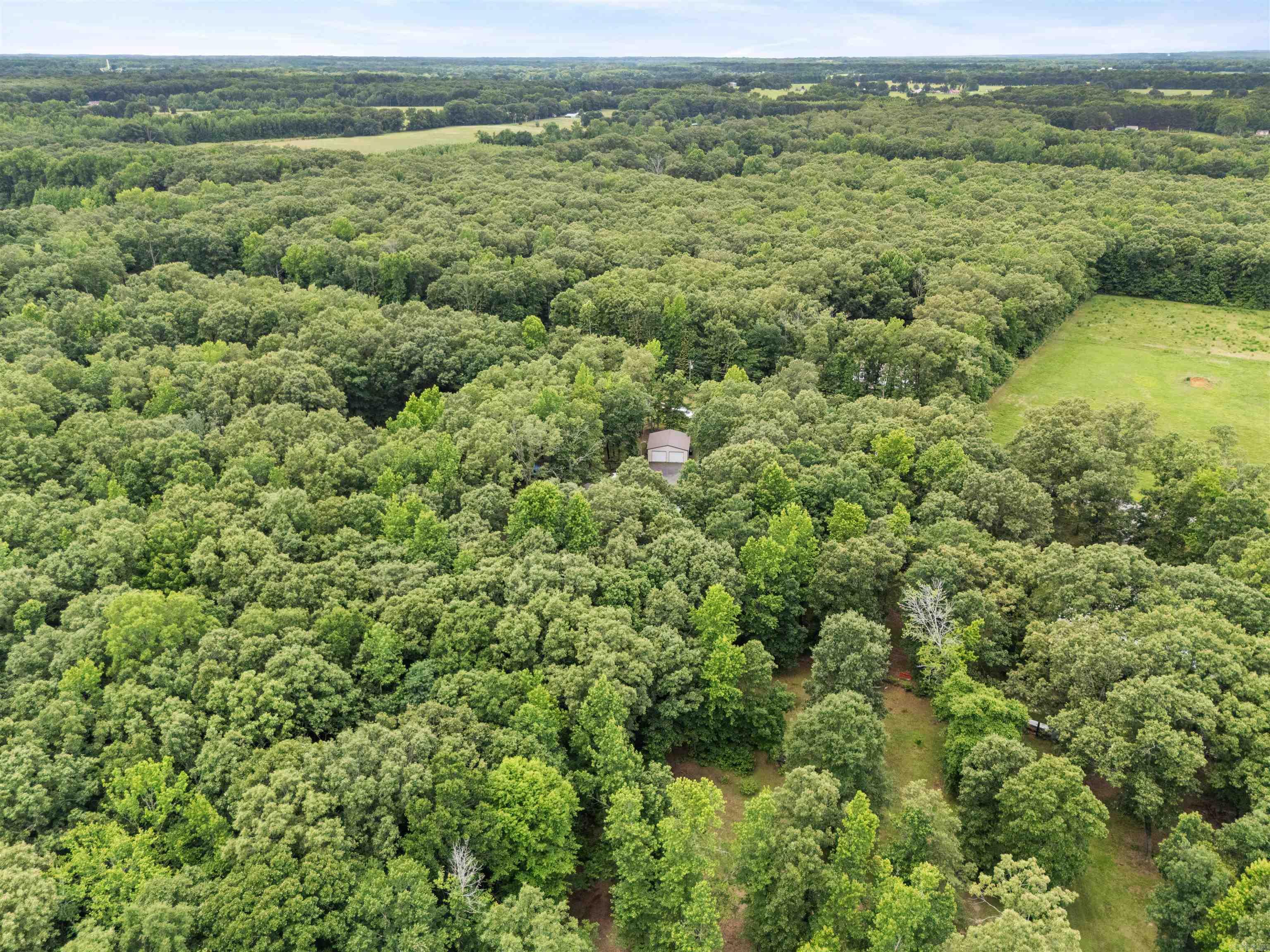 355 Allen  Ward, AR