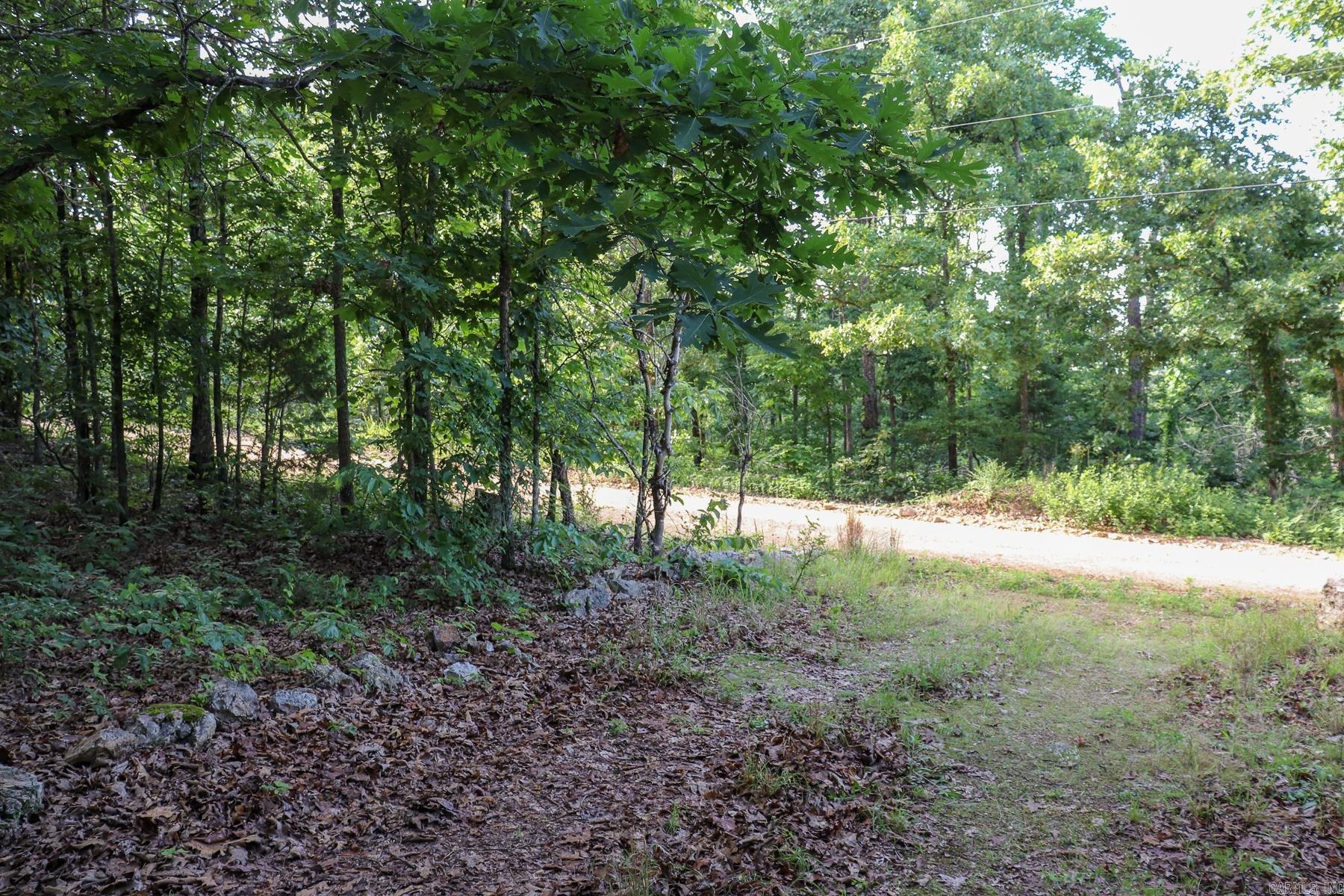 845 Fire Tower  Hardy, AR