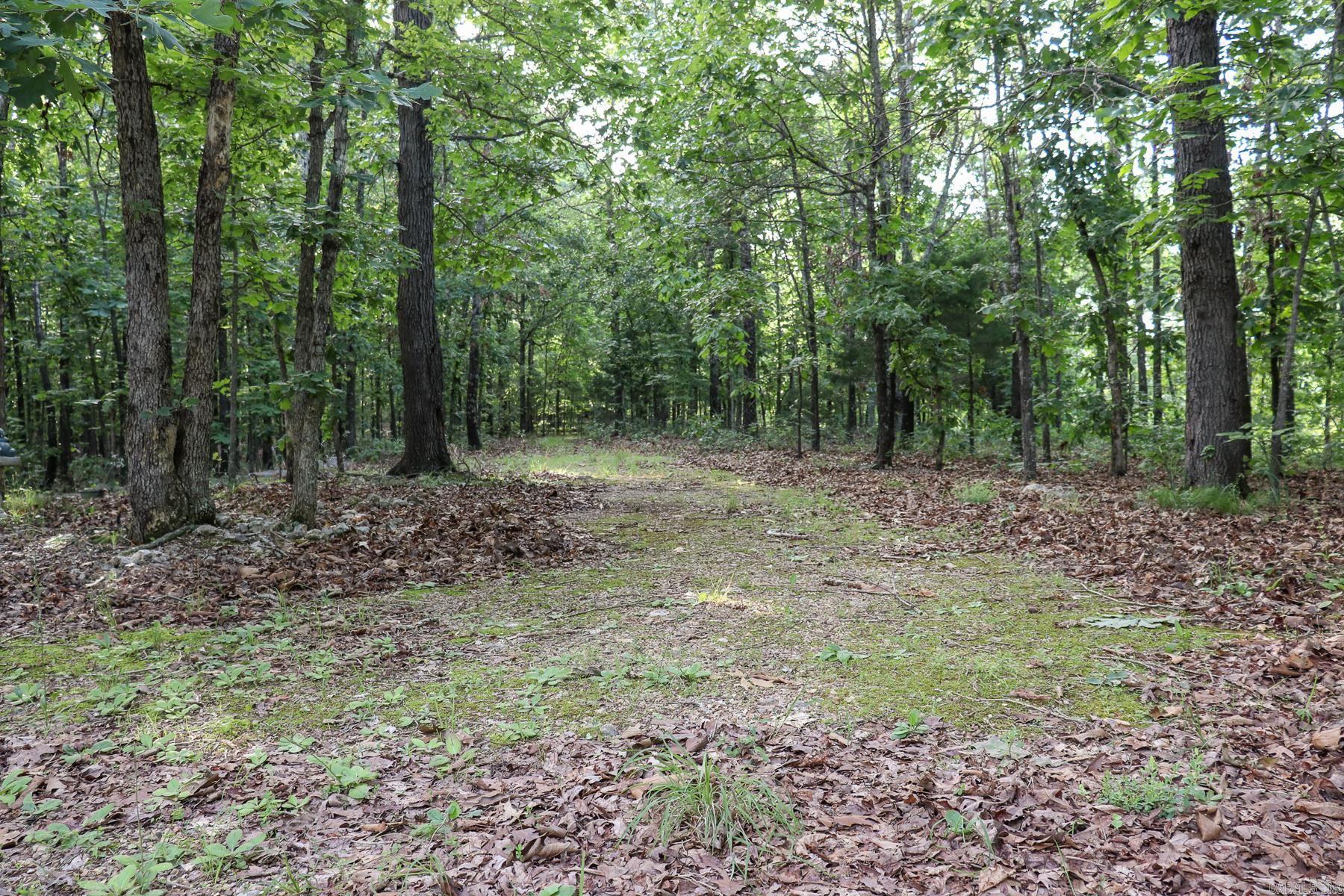 845 Fire Tower  Hardy, AR