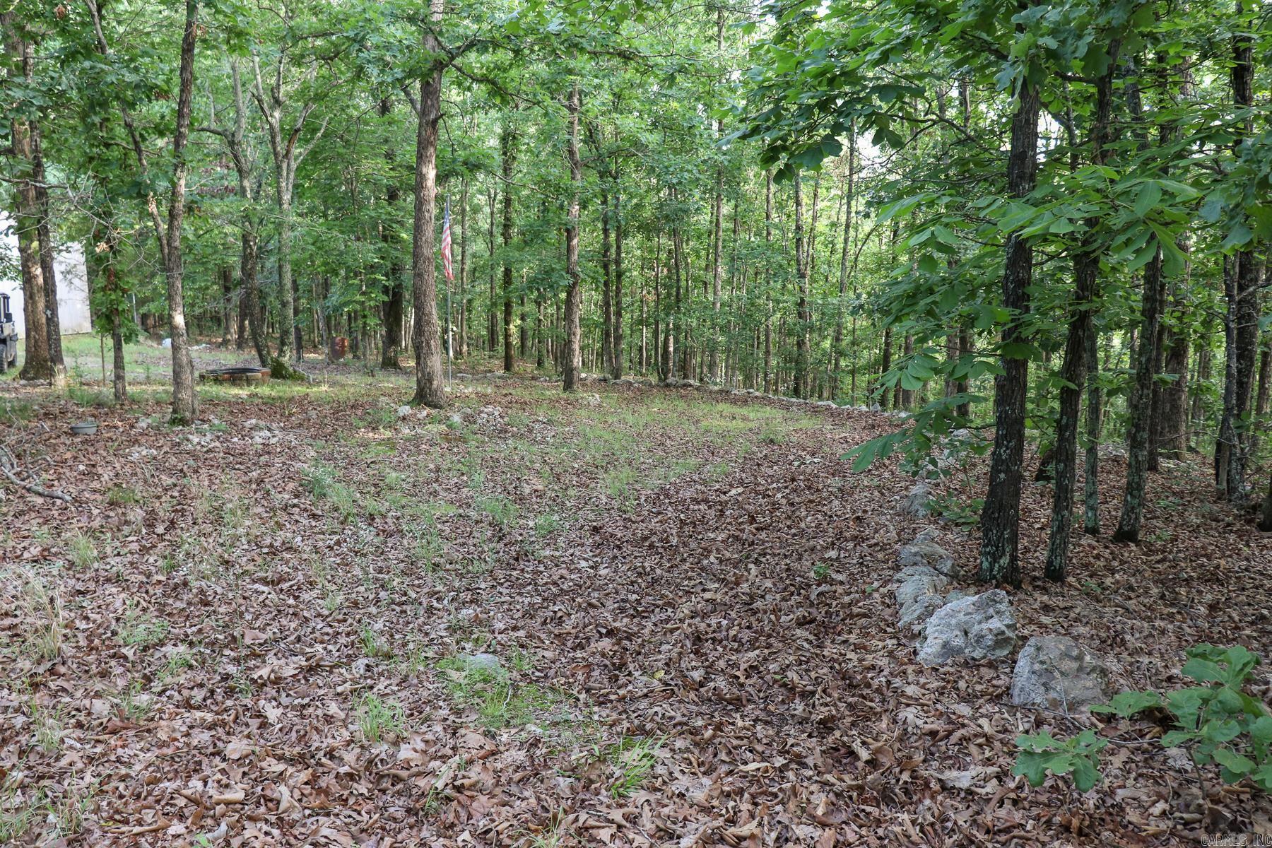 845 Fire Tower  Hardy, AR