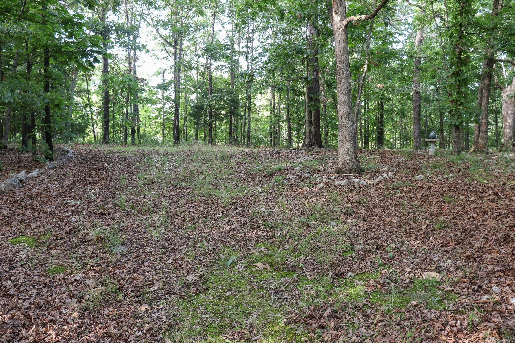 845 Fire Tower  Hardy, AR