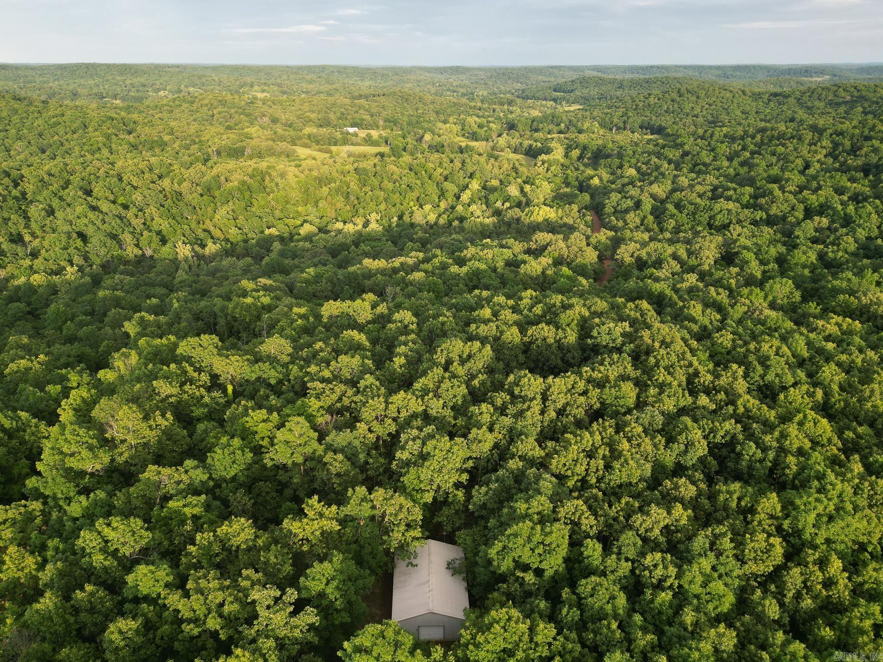 845 Fire Tower  Hardy, AR