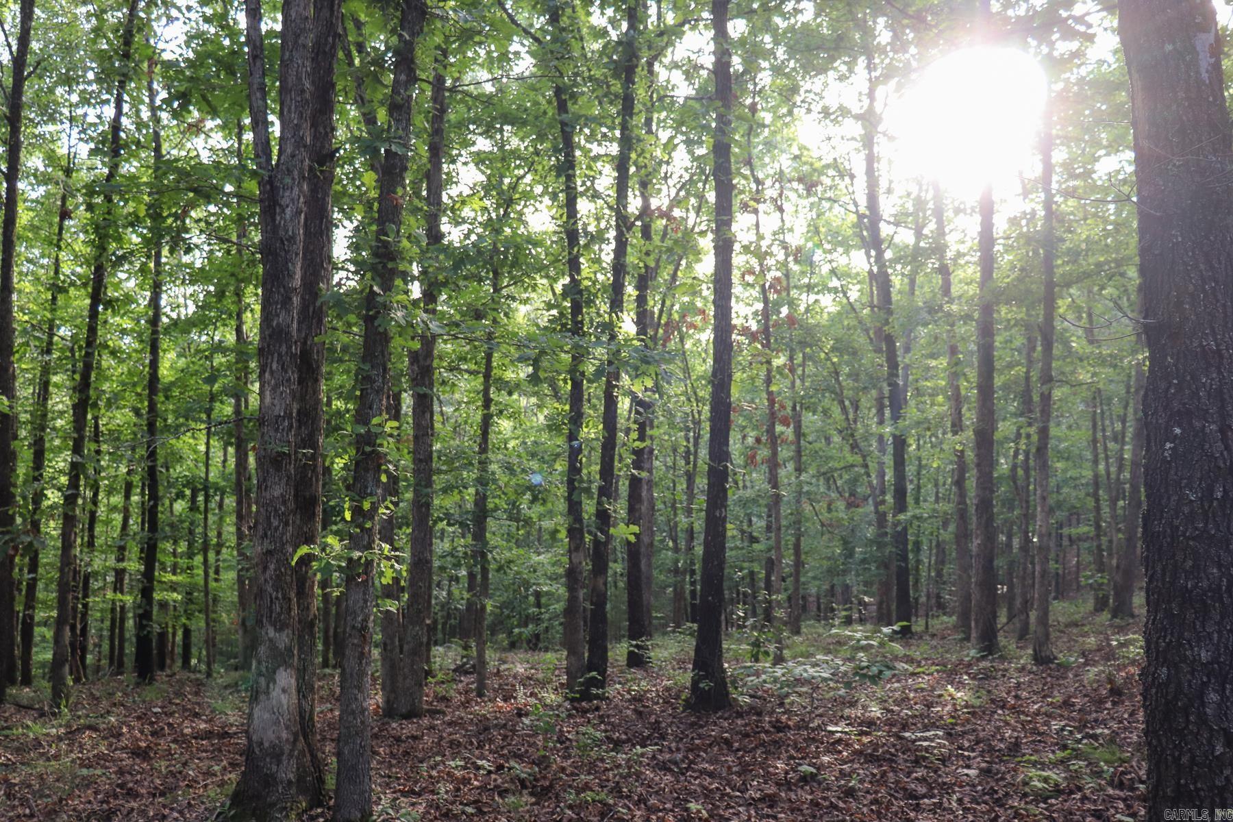 845 Fire Tower  Hardy, AR