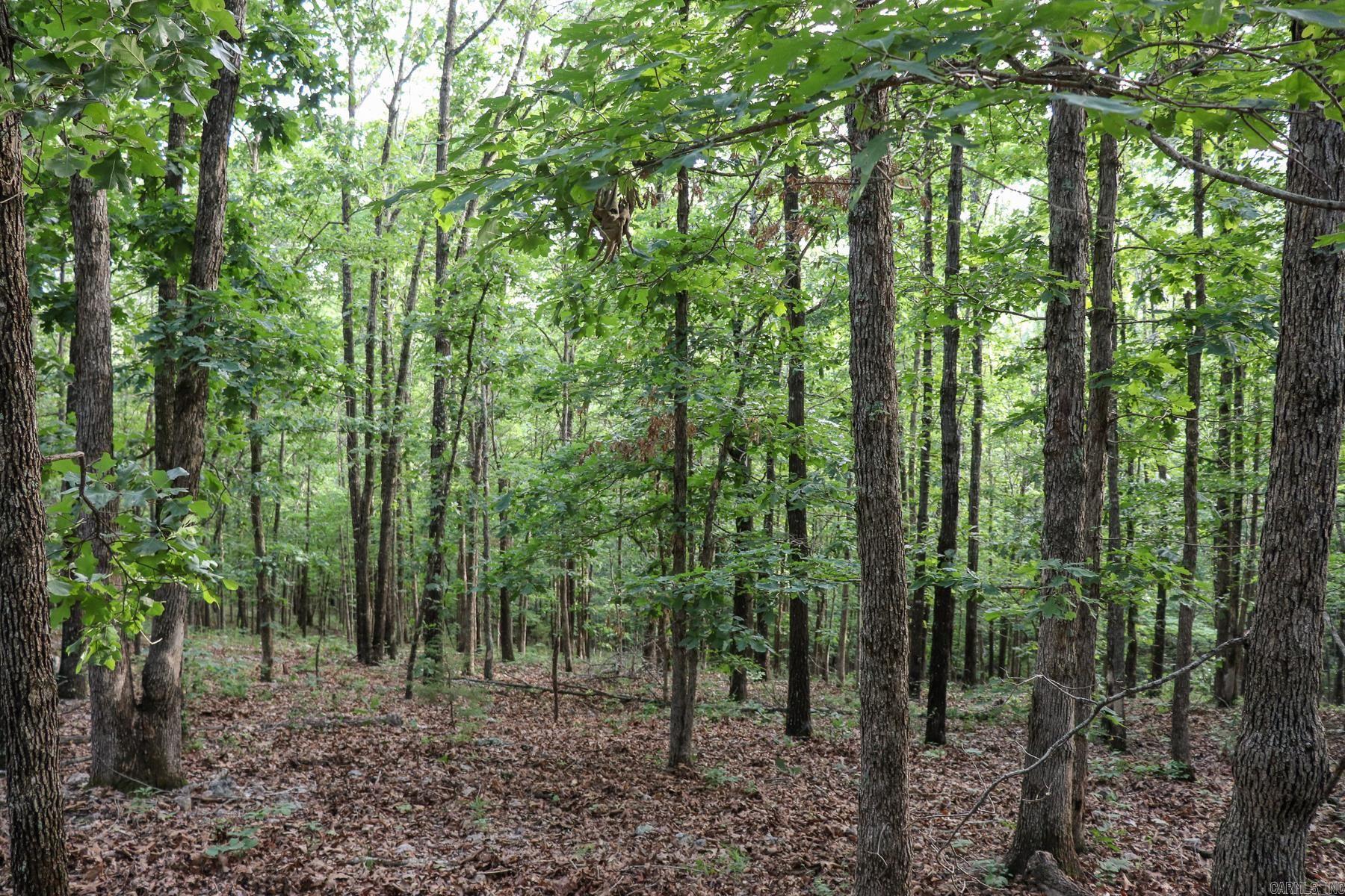 845 Fire Tower  Hardy, AR