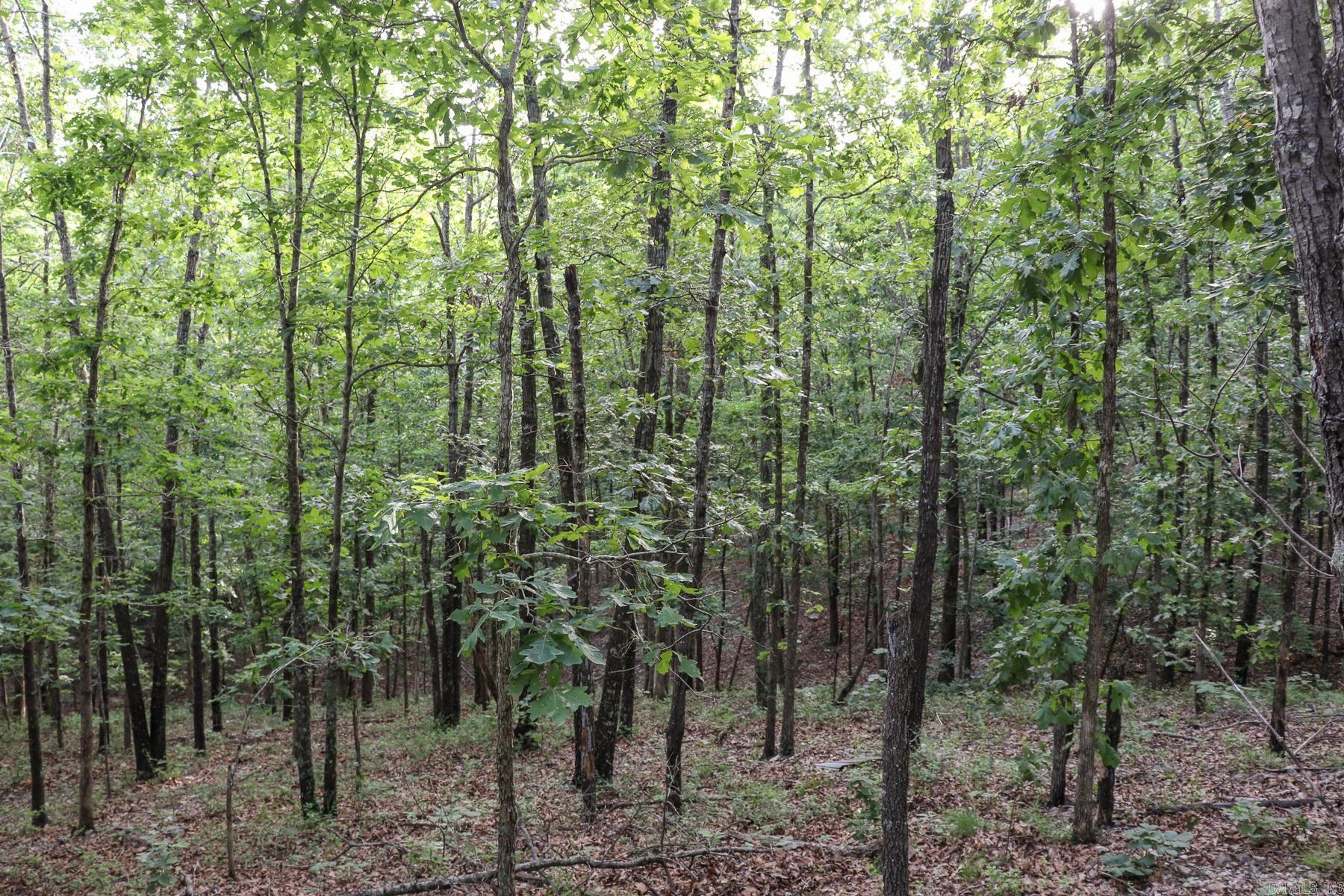 845 Fire Tower  Hardy, AR