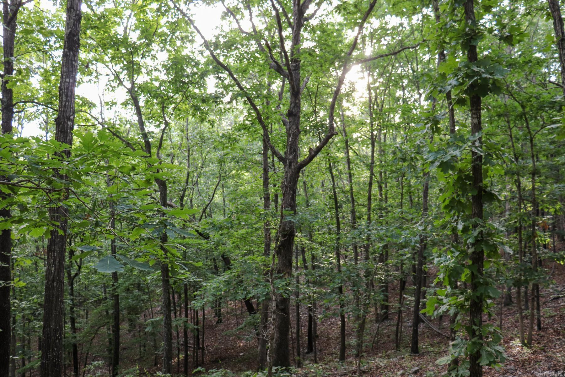 845 Fire Tower  Hardy, AR