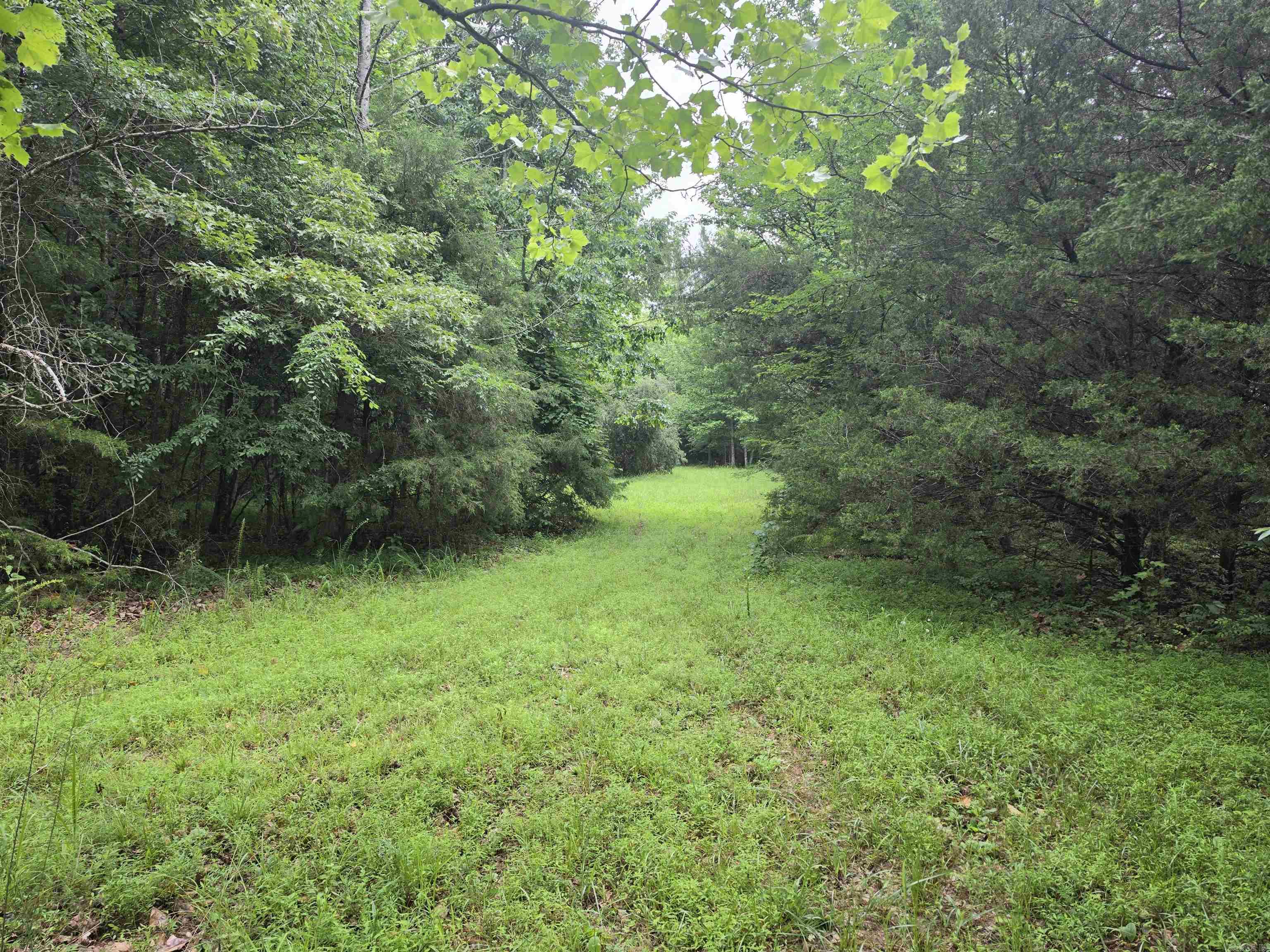 38 Allen Road  Smithville, AR