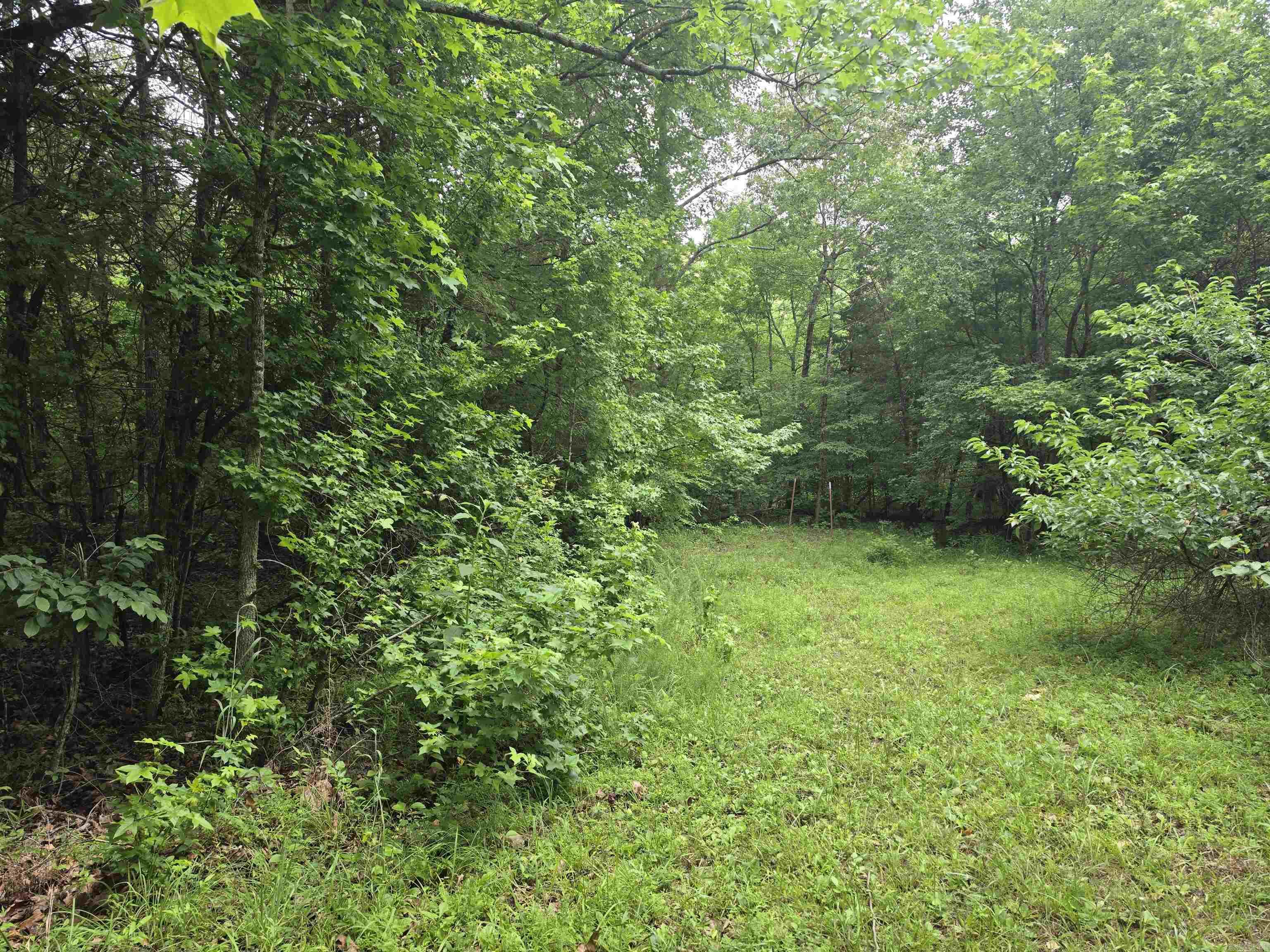 38 Allen Road  Smithville, AR