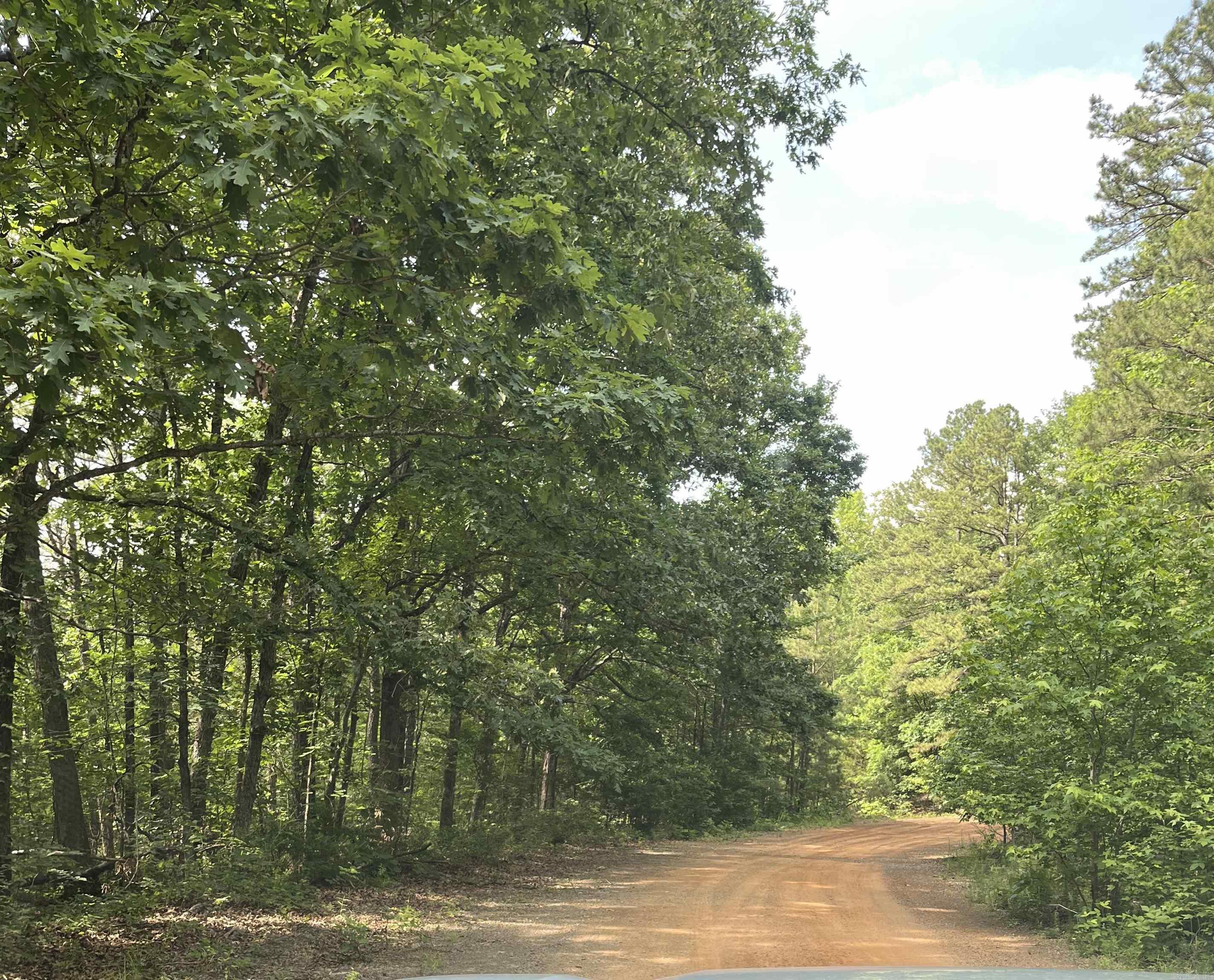 00 Alpine  Fairfield Bay, AR