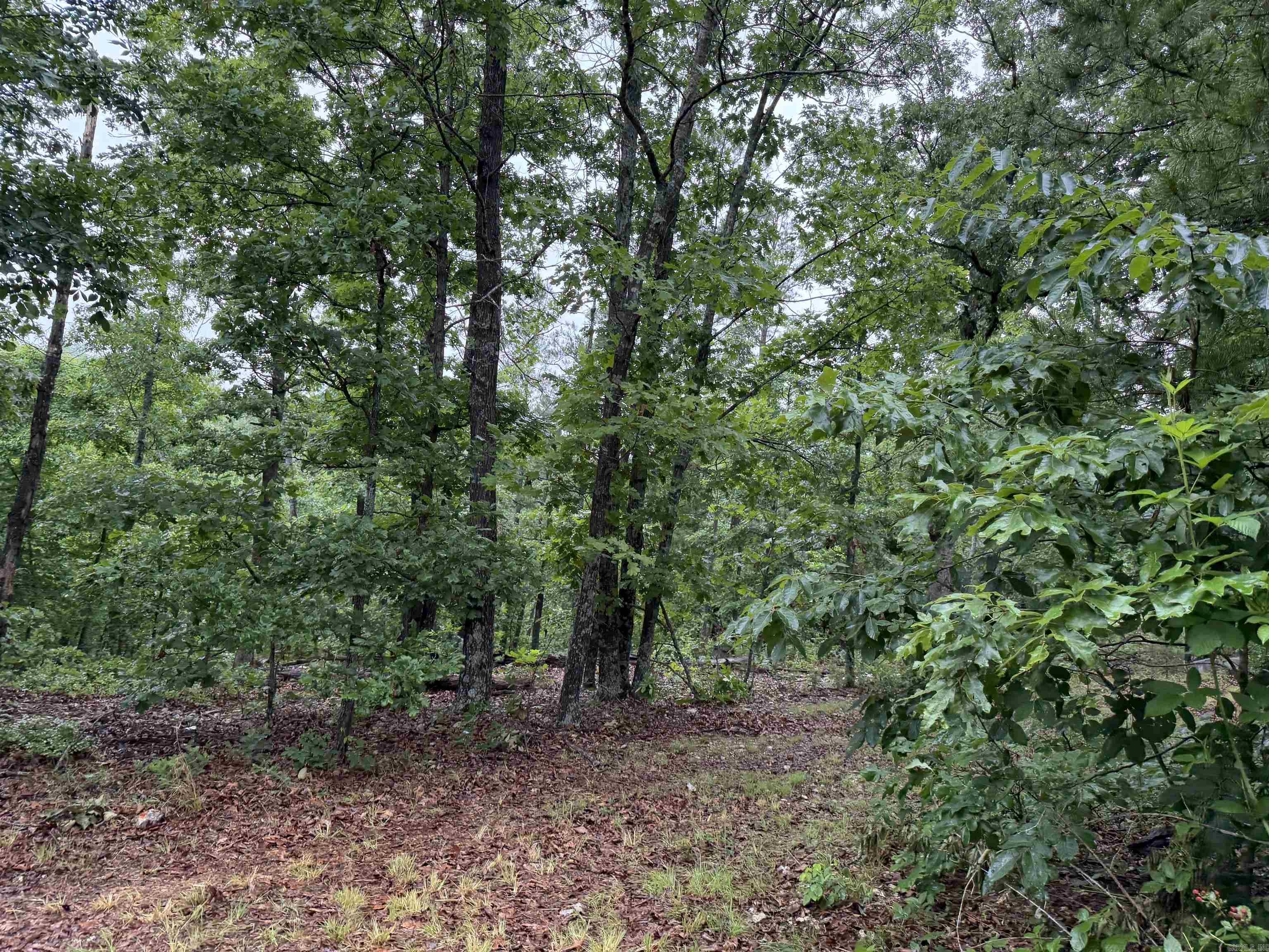 Off Of Morgan Cave Road  Harrison, AR