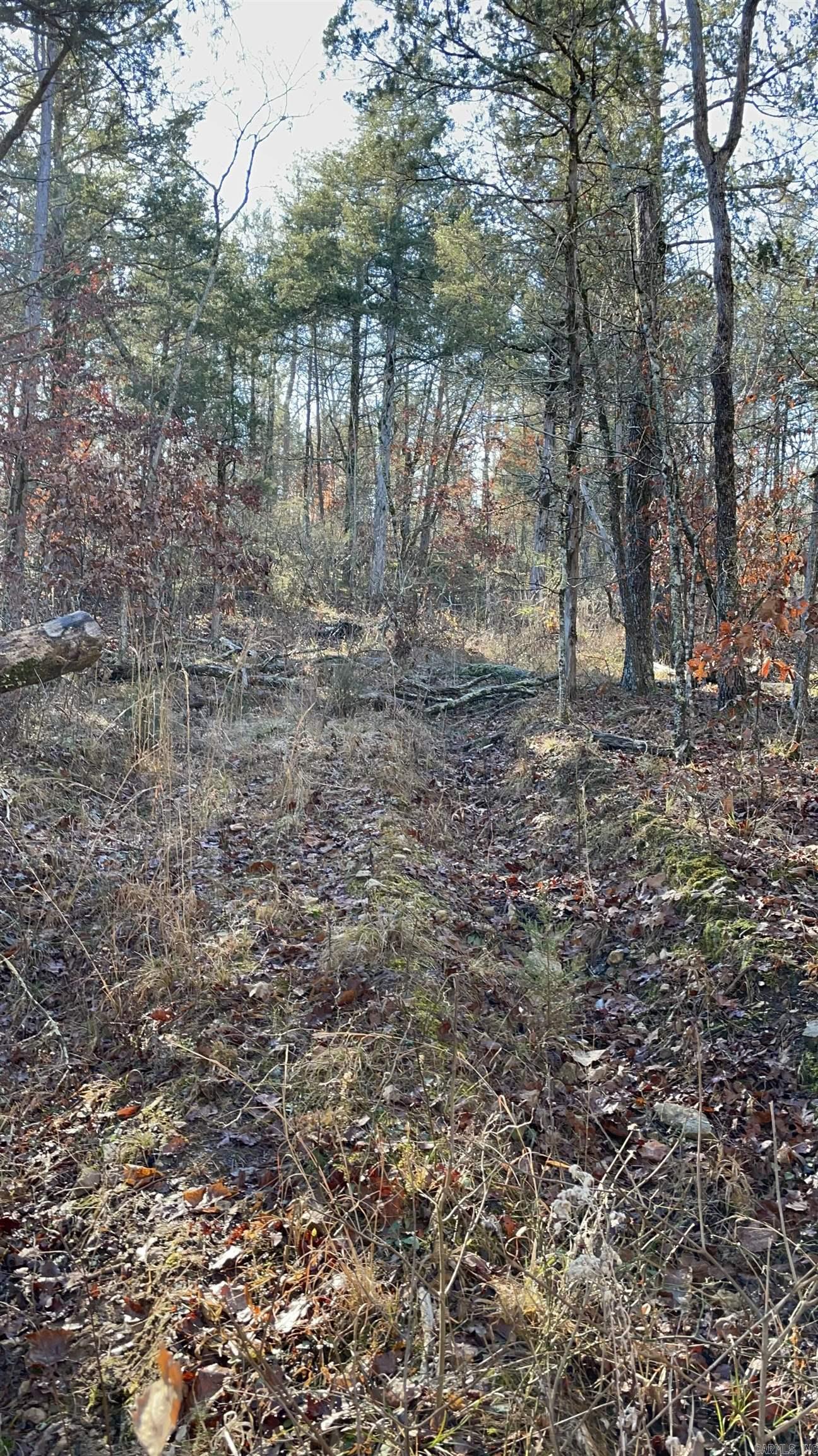 850 Jones Cemetery Road  Calico Rock, AR