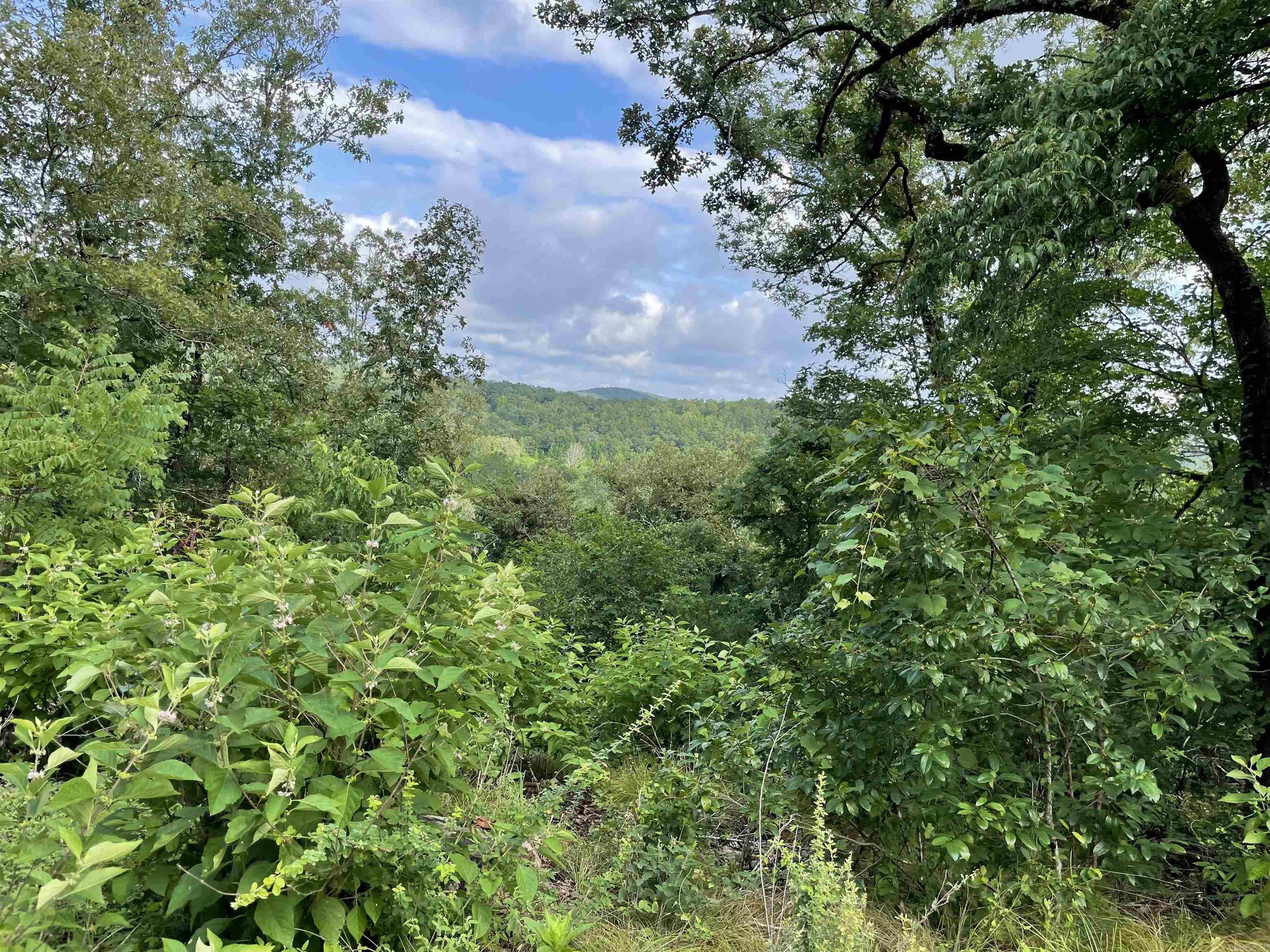 850 Jones Cemetery Road  Calico Rock, AR