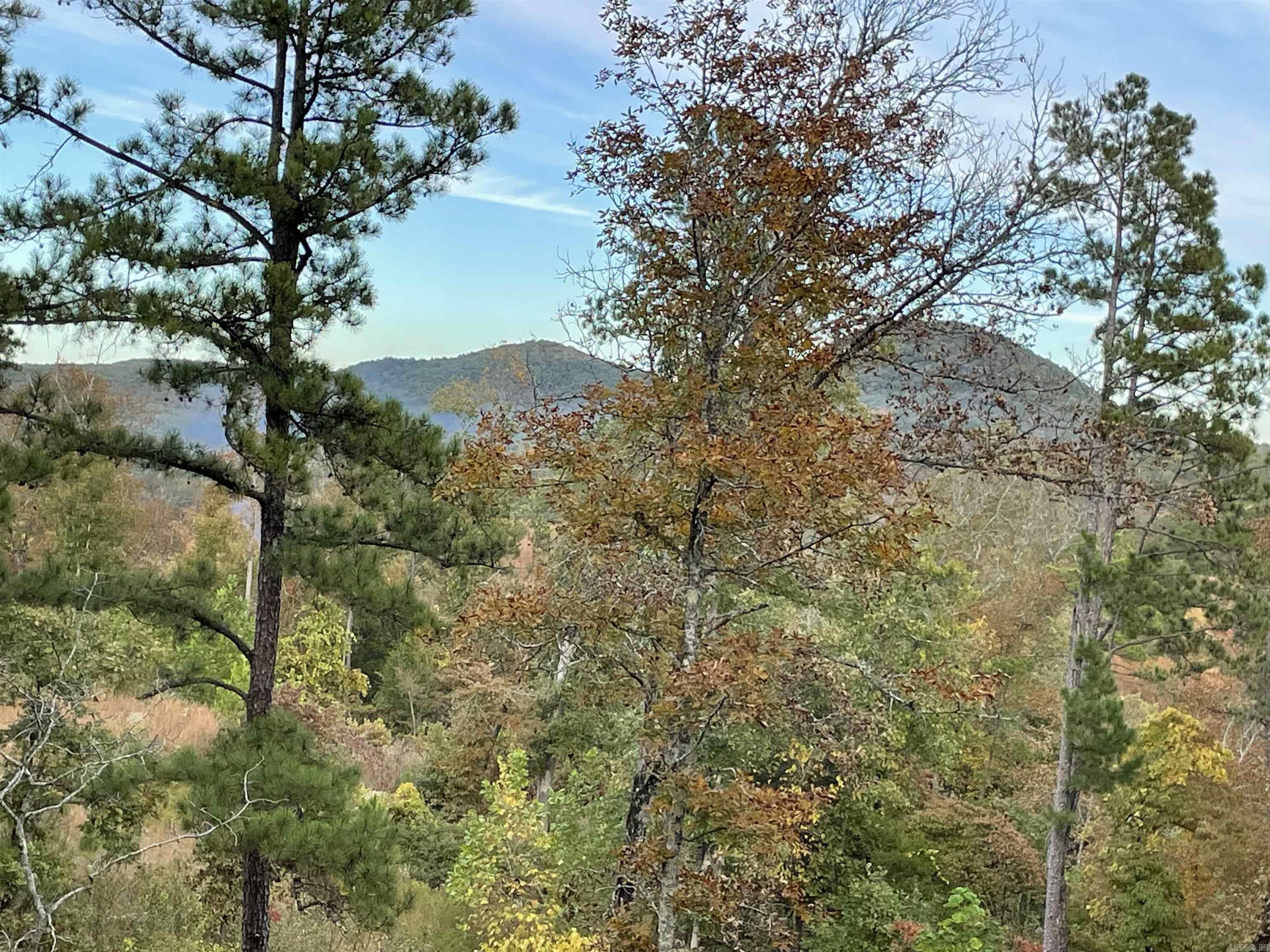 850 Jones Cemetery Road  Calico Rock, AR