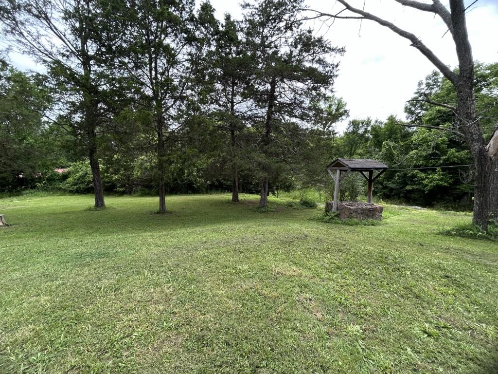 116 Evans  Mountain View, AR
