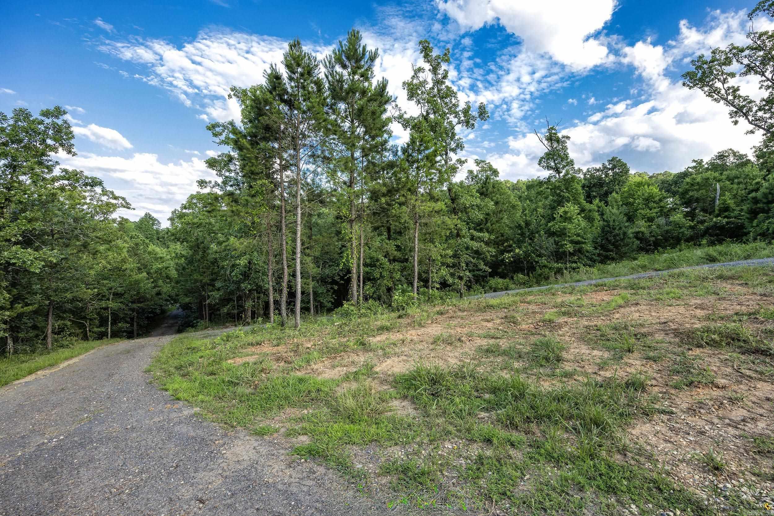 15625 Highway 300  Roland, AR