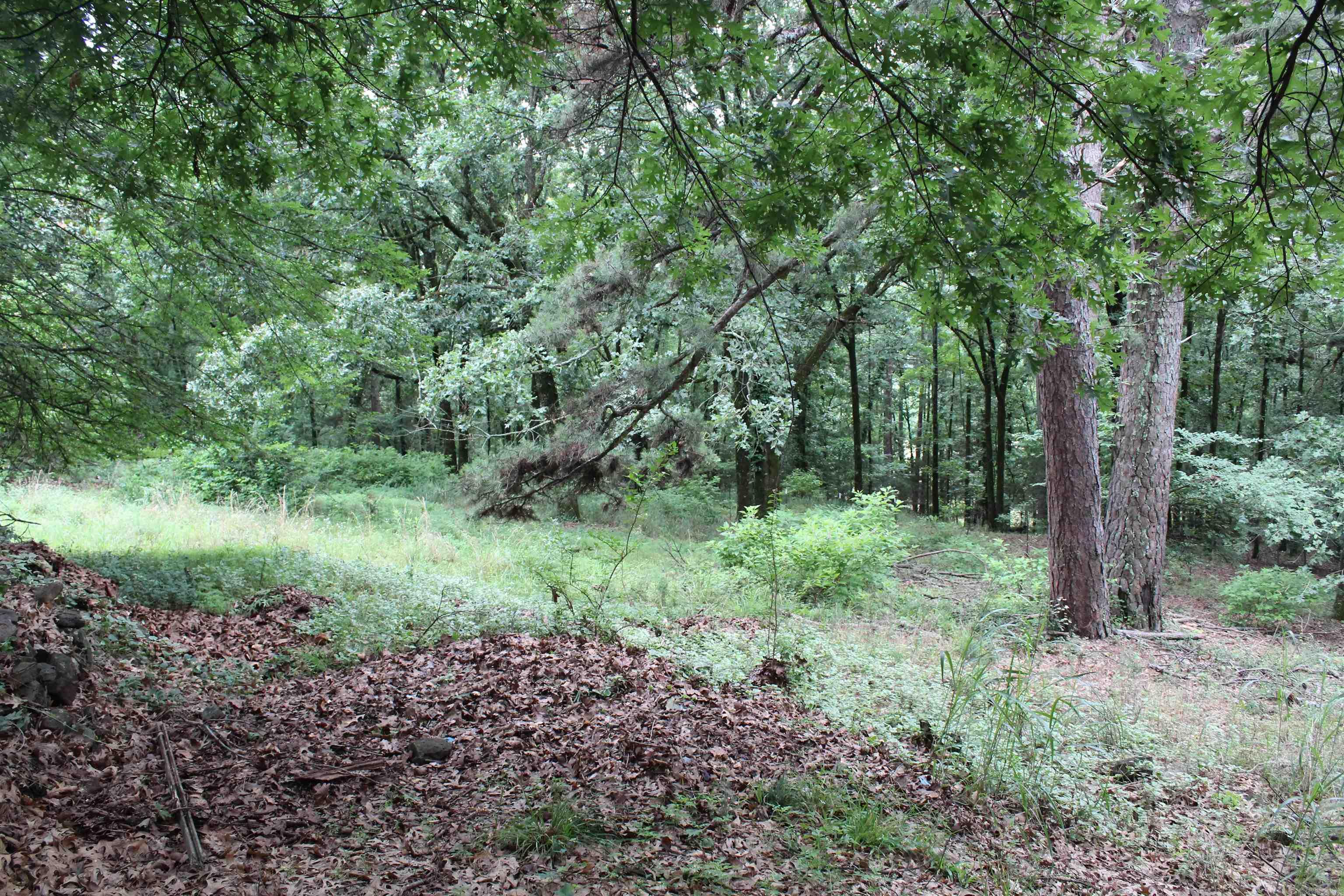 2729 3348  Clarksville, AR