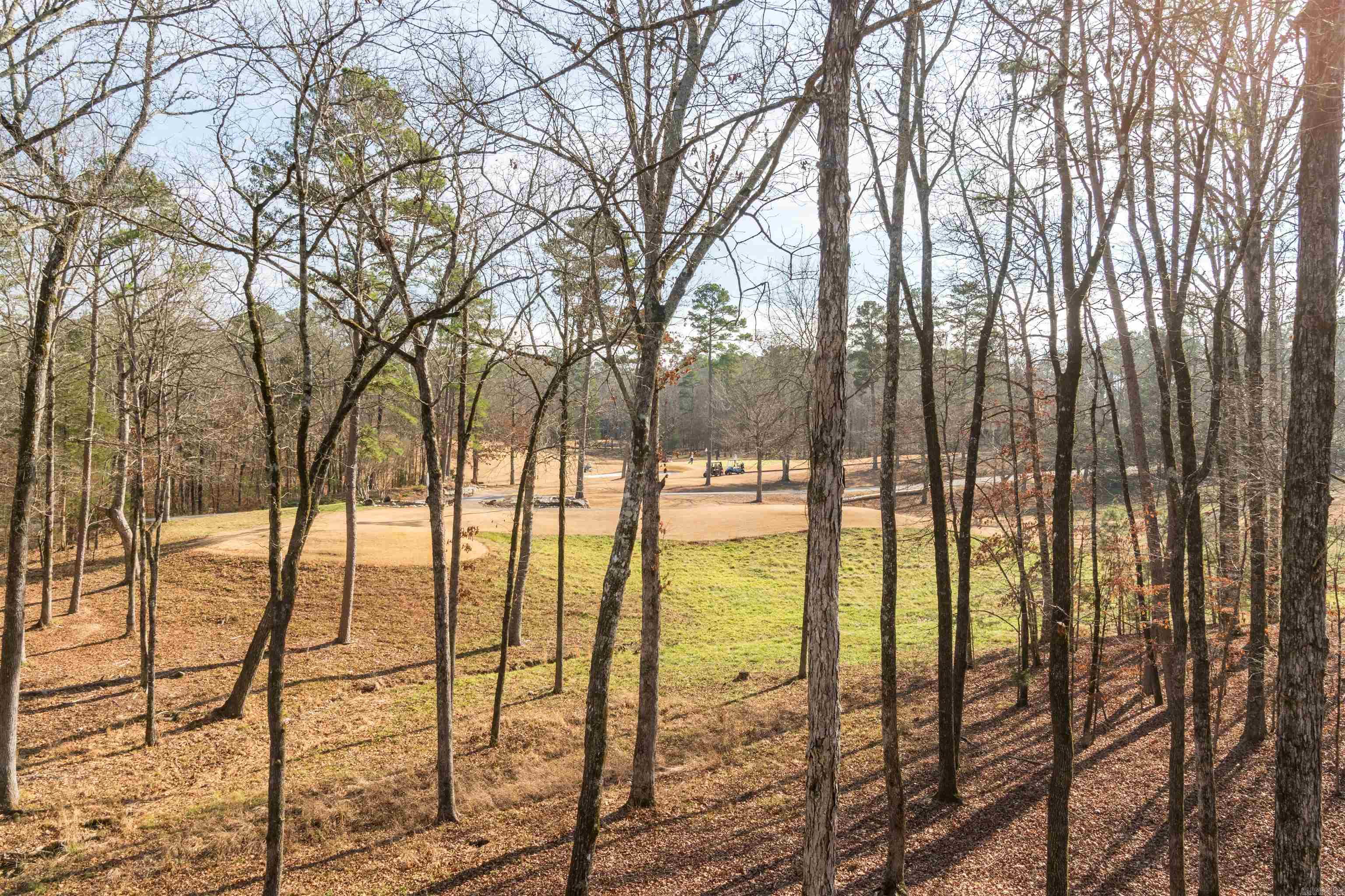 23 Darro  Hot Springs Village, AR