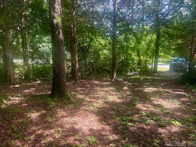 506 E Webb  Mountain View, AR