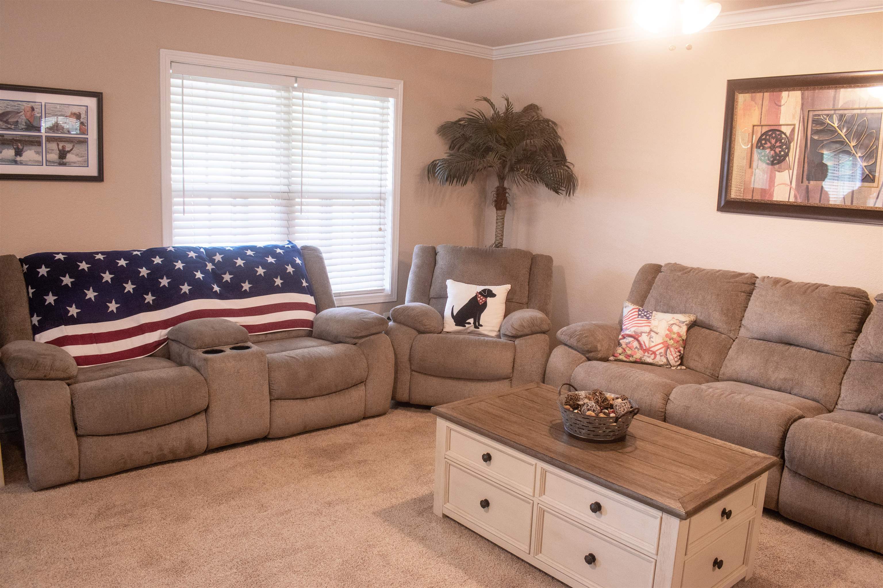 706 Indianapolis  Horseshoe Bend, AR