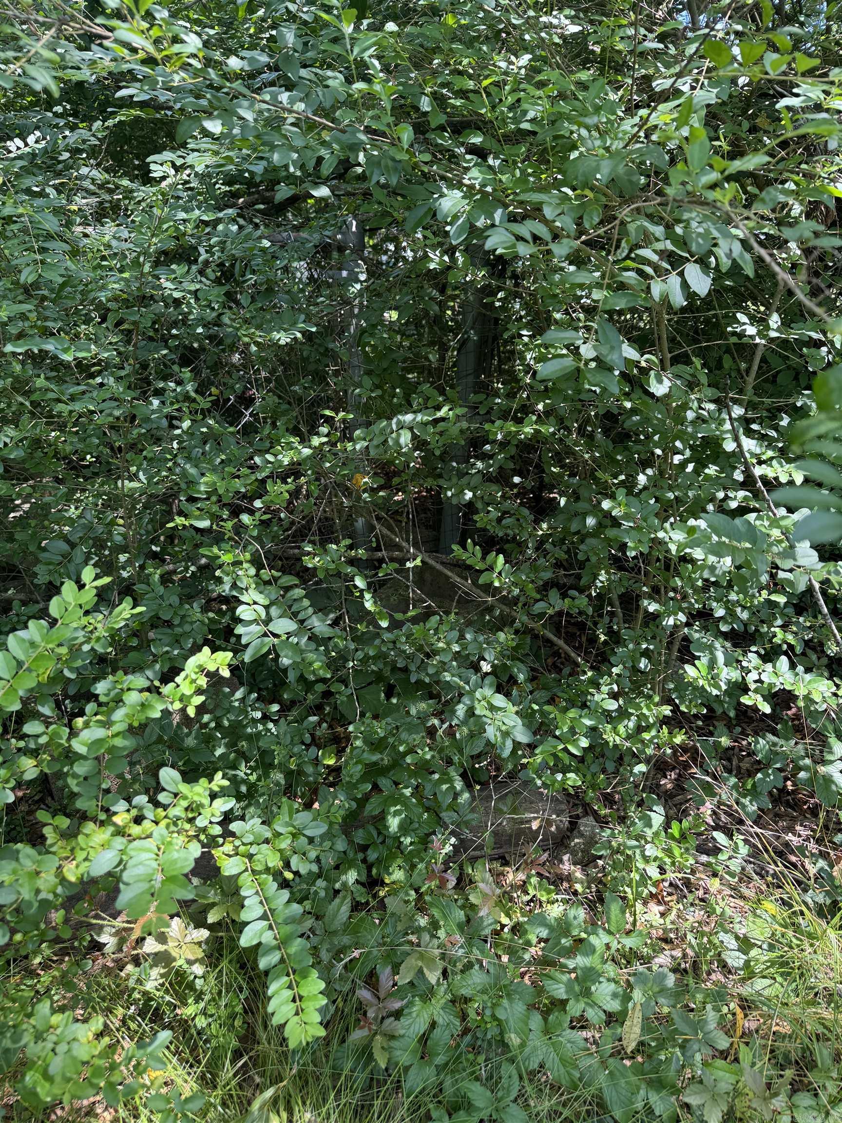 116 Grayson  Hot Springs, AR
