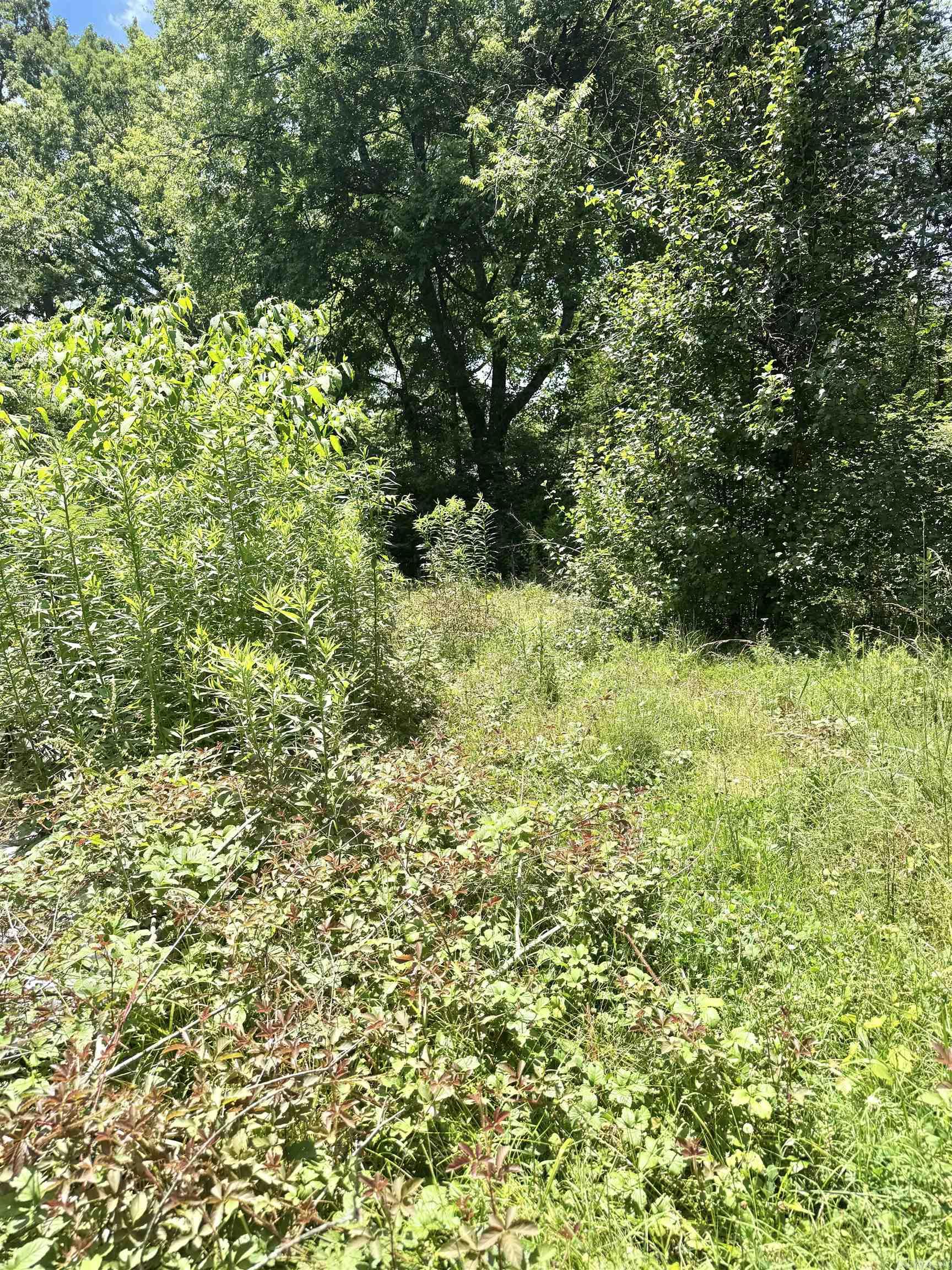 116 Grayson  Hot Springs, AR