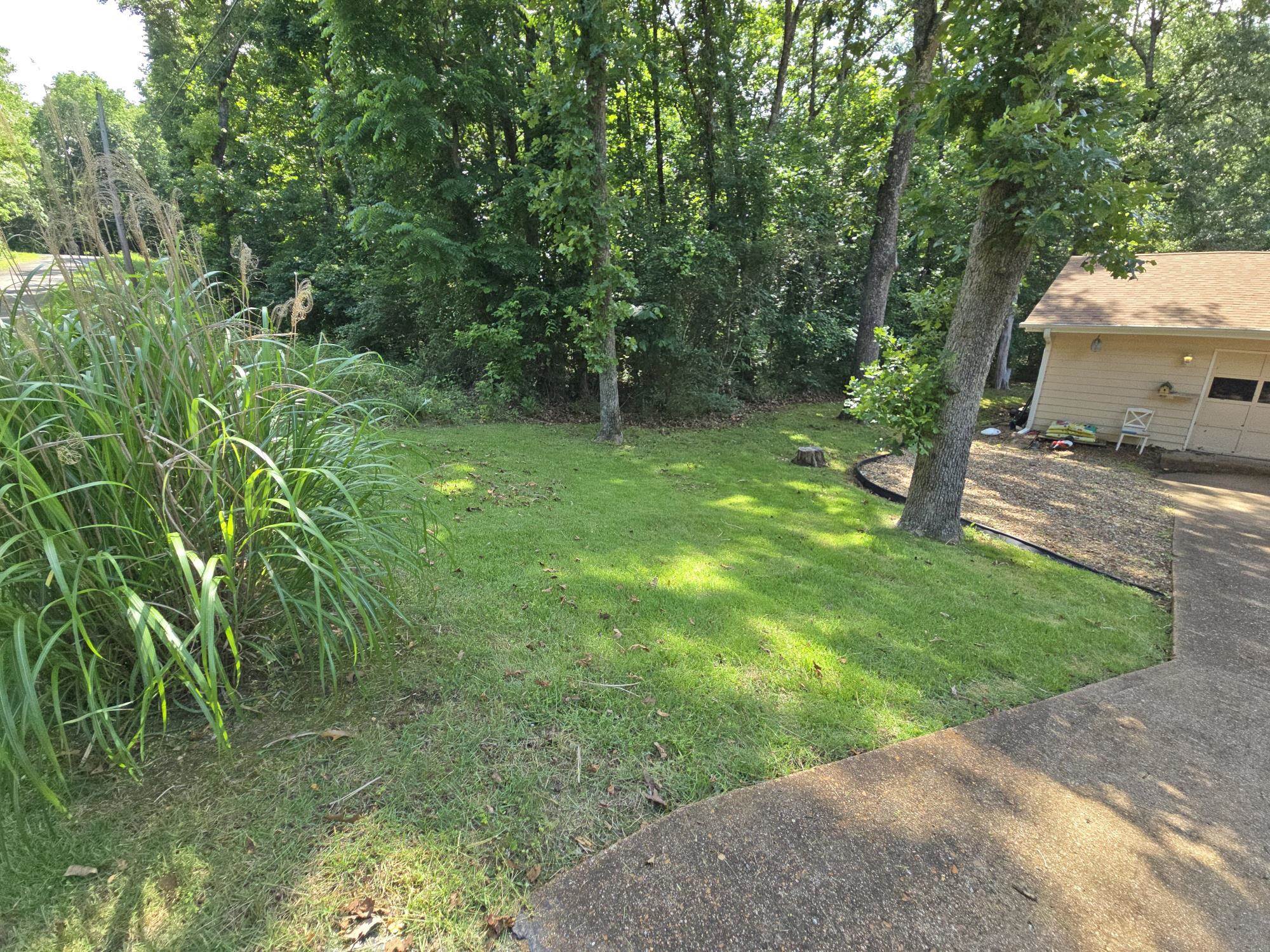 31 Chacoto  Cherokee Village, AR
