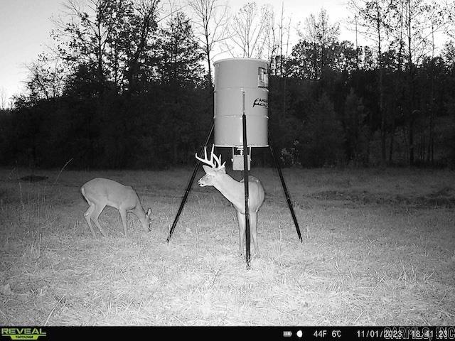 1717 Grassy  Marshall, AR