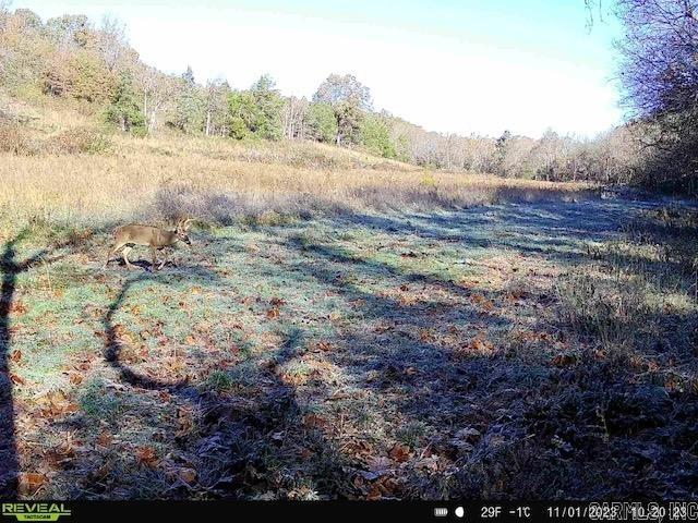 1717 Grassy  Marshall, AR