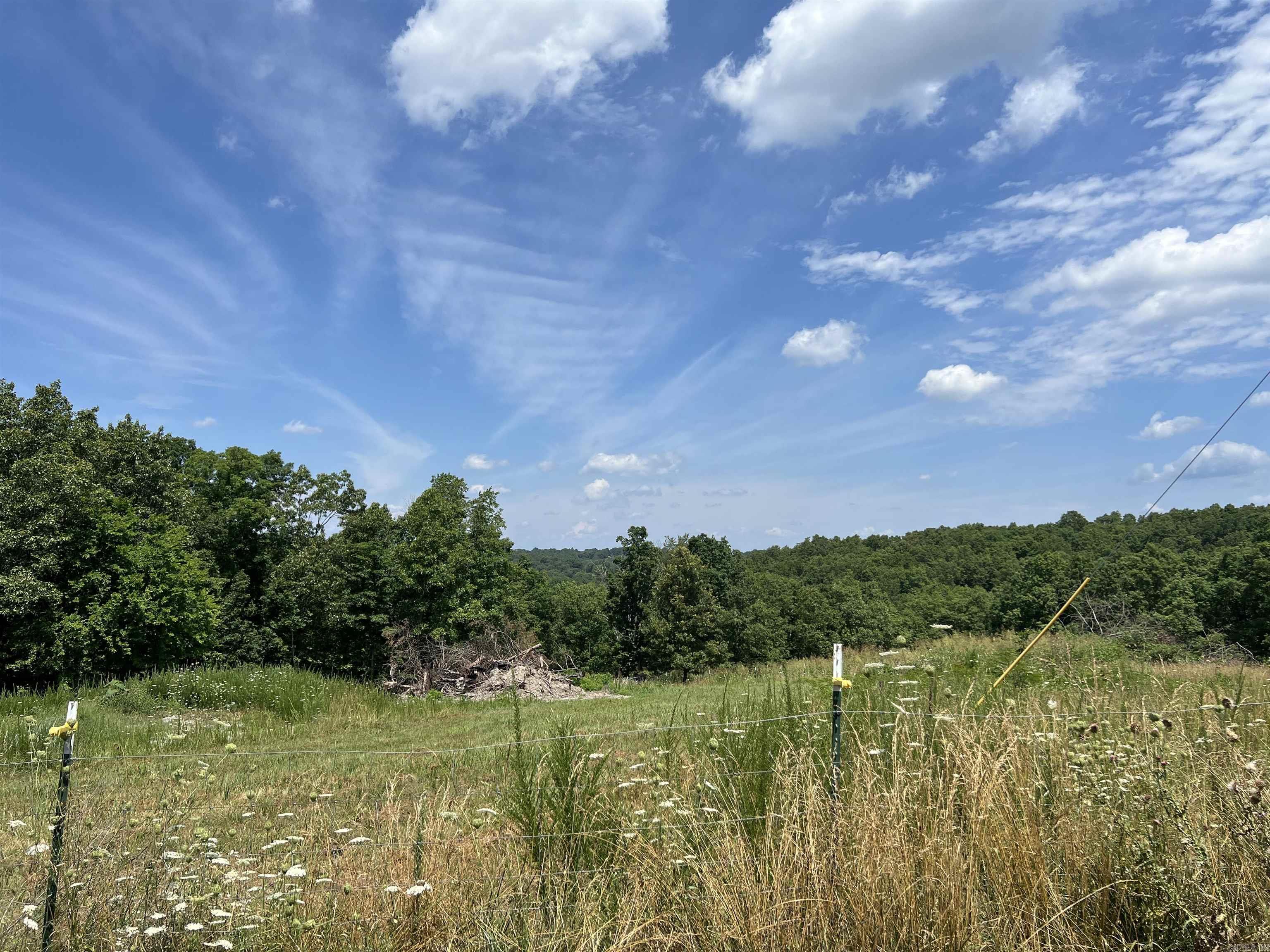 1717 Grassy  Marshall, AR