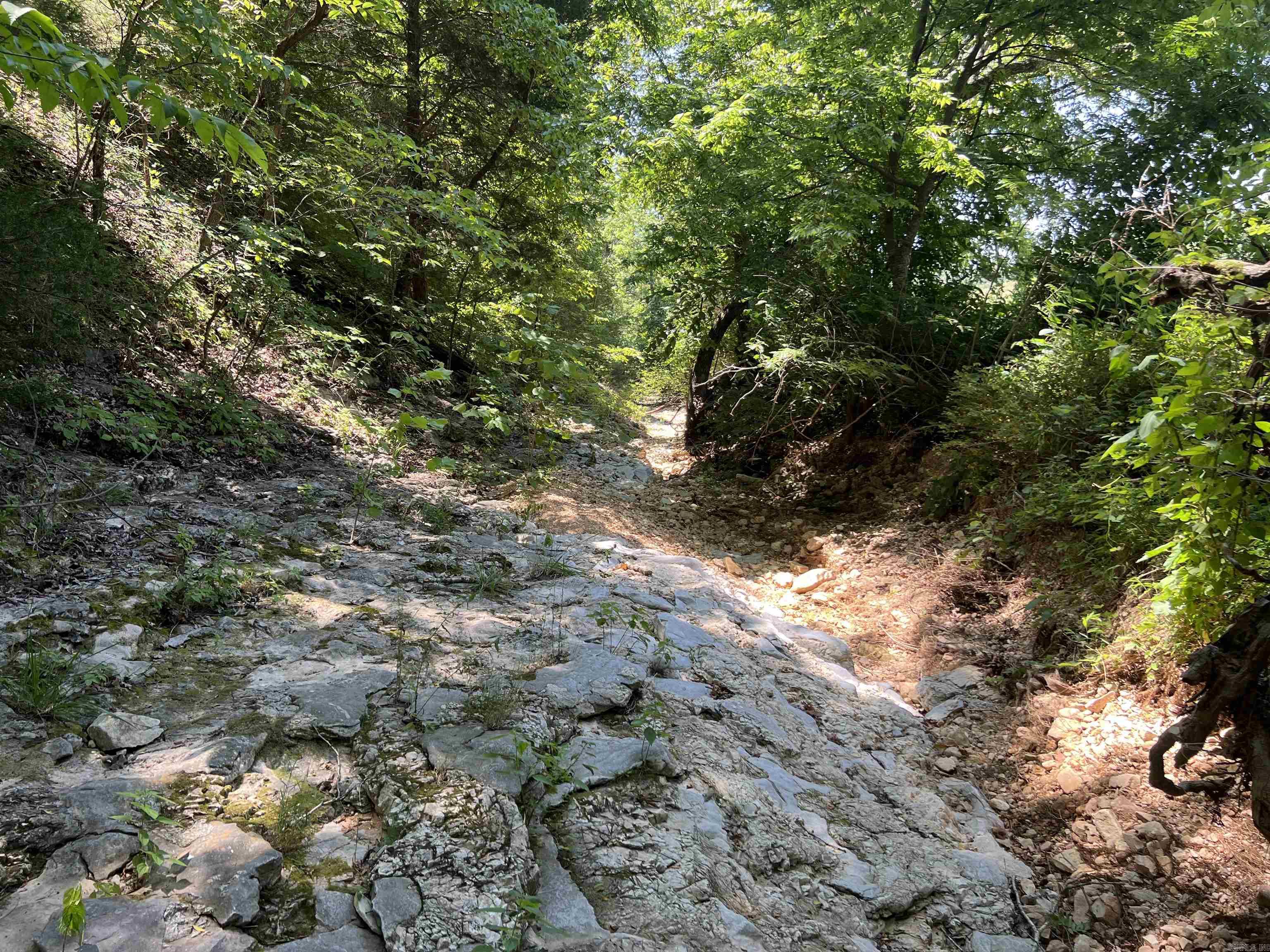1717 Grassy  Marshall, AR