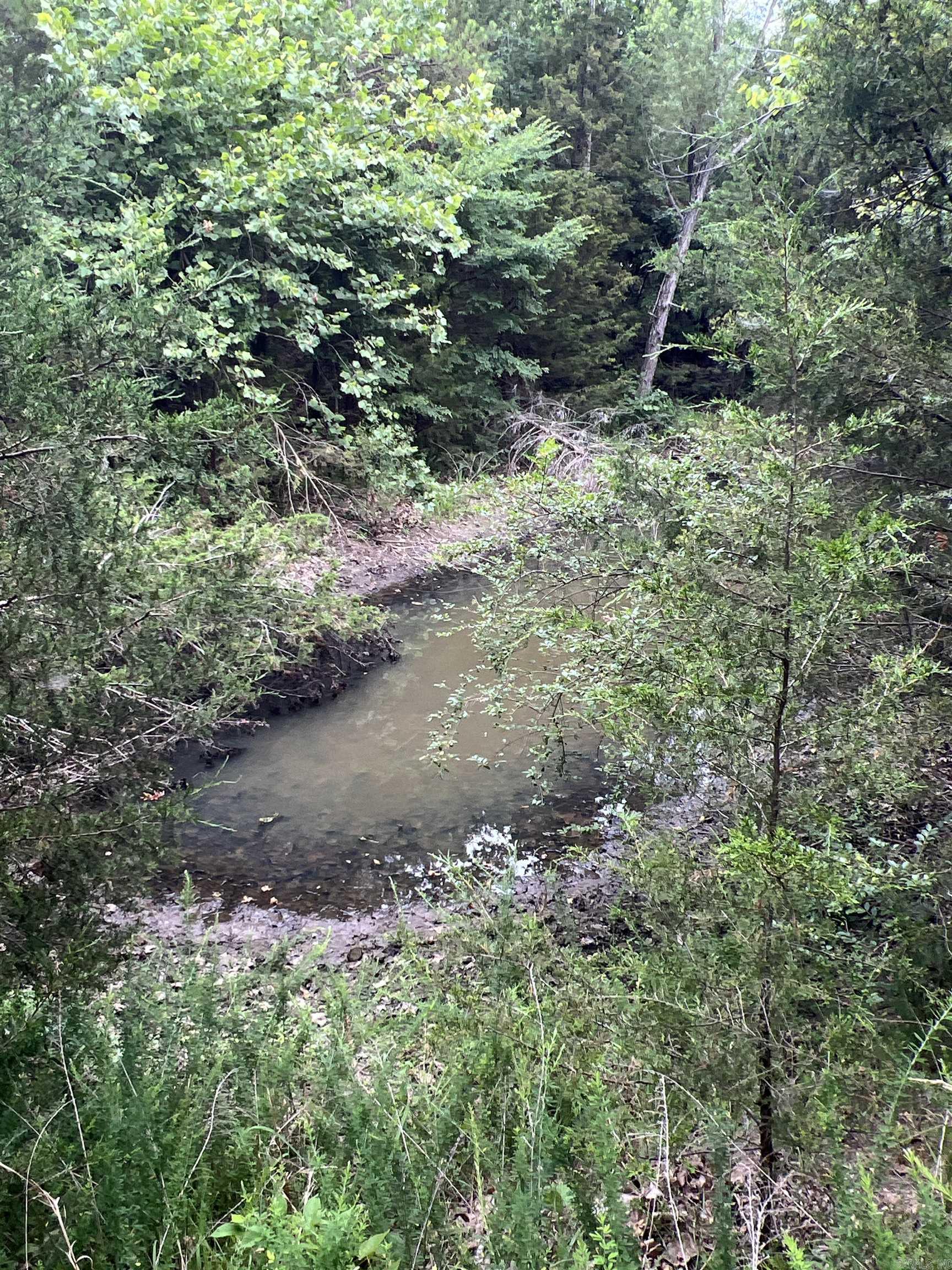 1717 Grassy  Marshall, AR