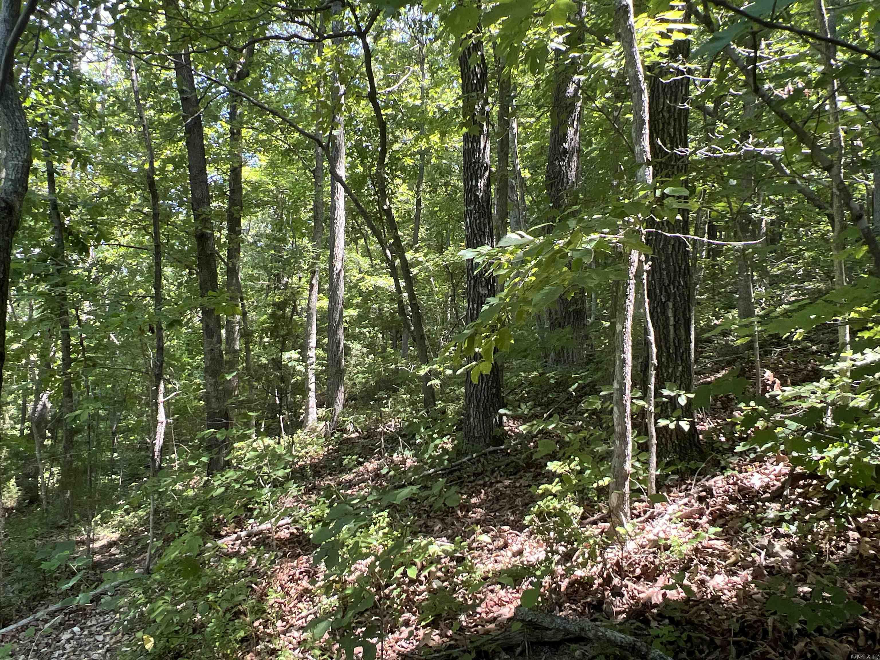 1717 Grassy  Marshall, AR