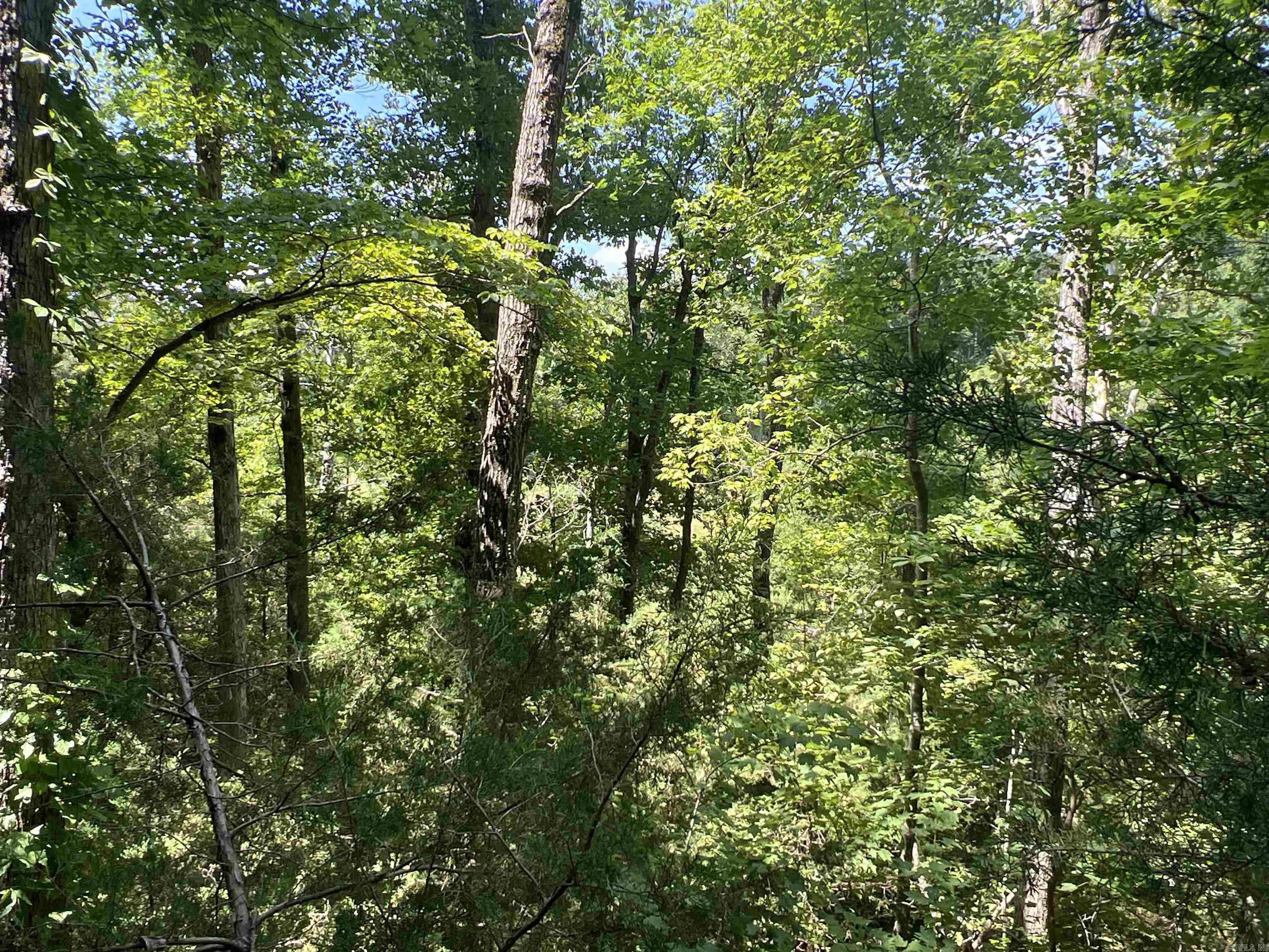 1717 Grassy  Marshall, AR
