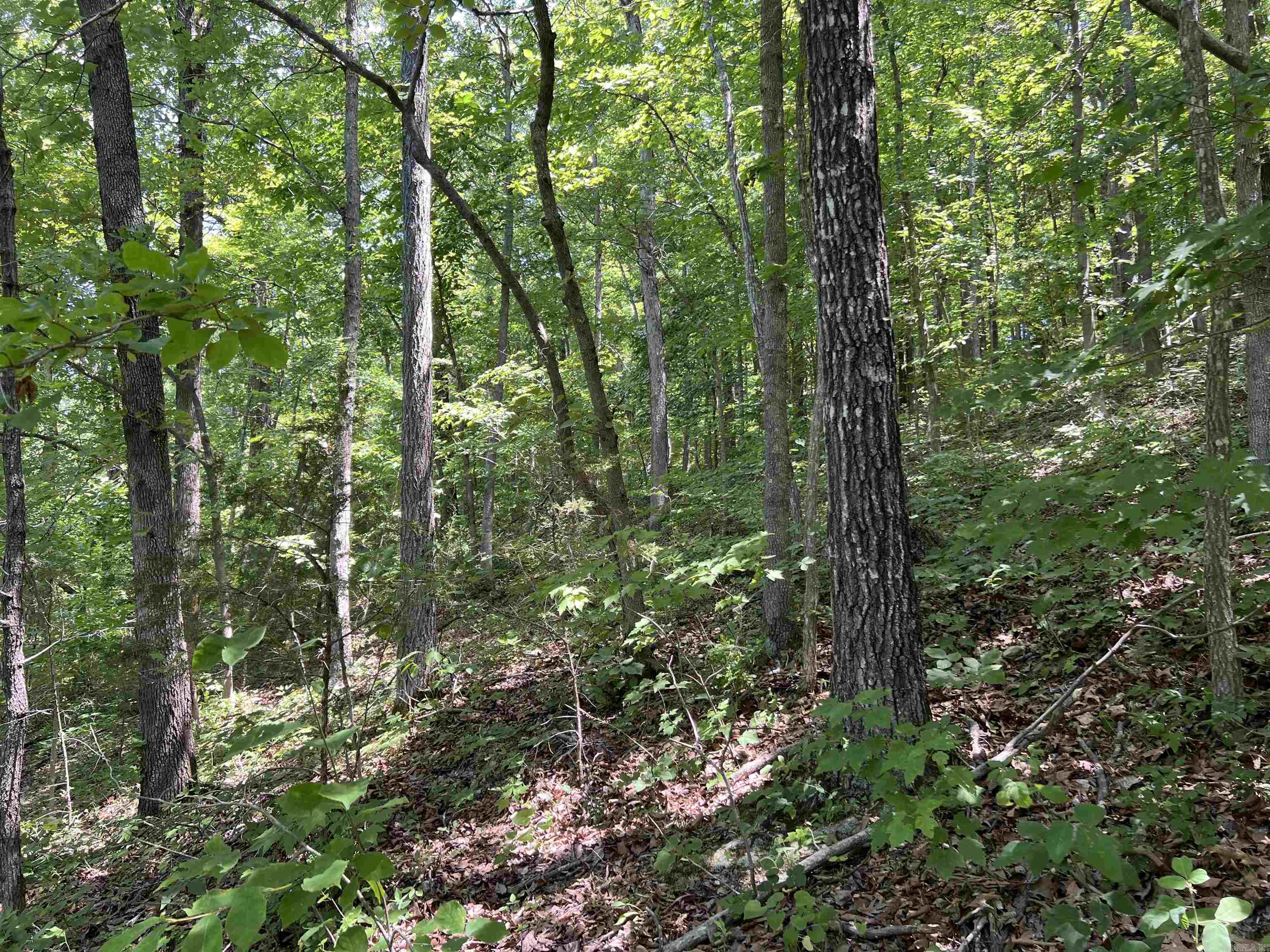 1717 Grassy  Marshall, AR
