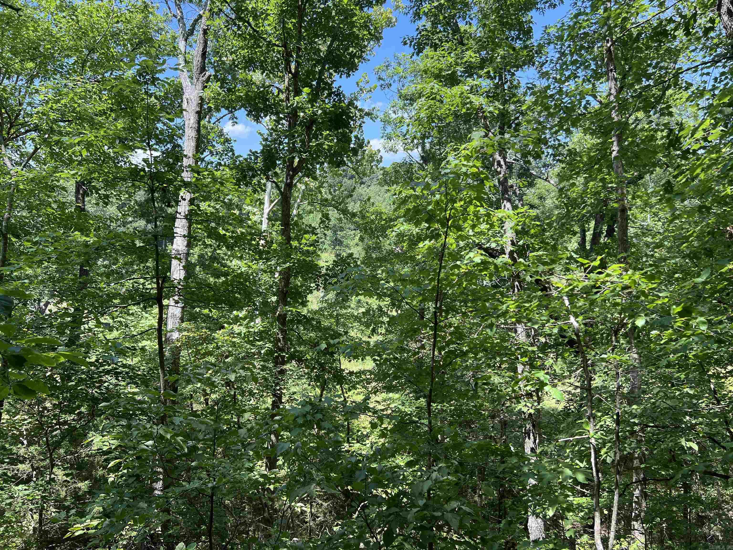 1717 Grassy  Marshall, AR
