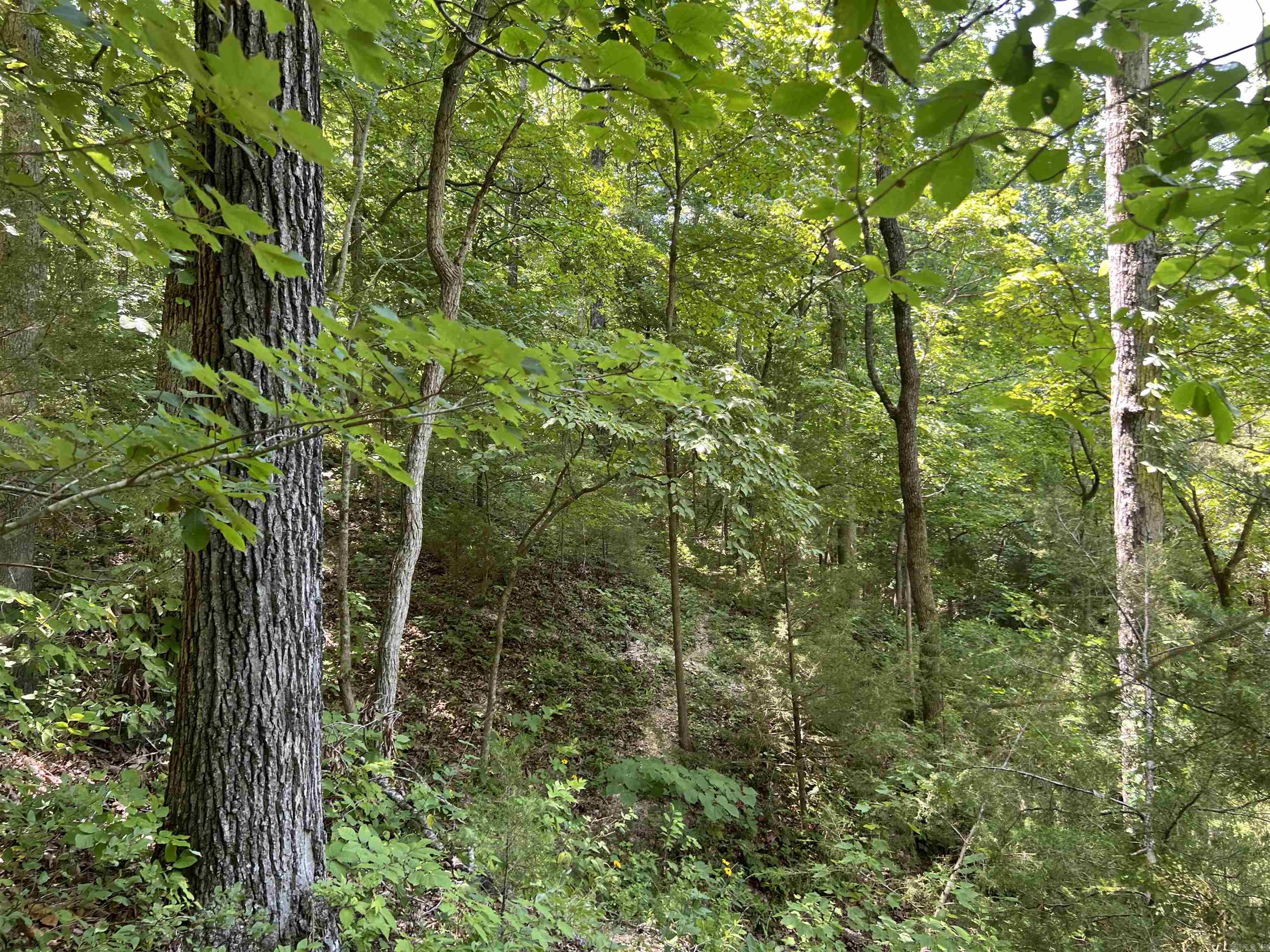 1717 Grassy  Marshall, AR