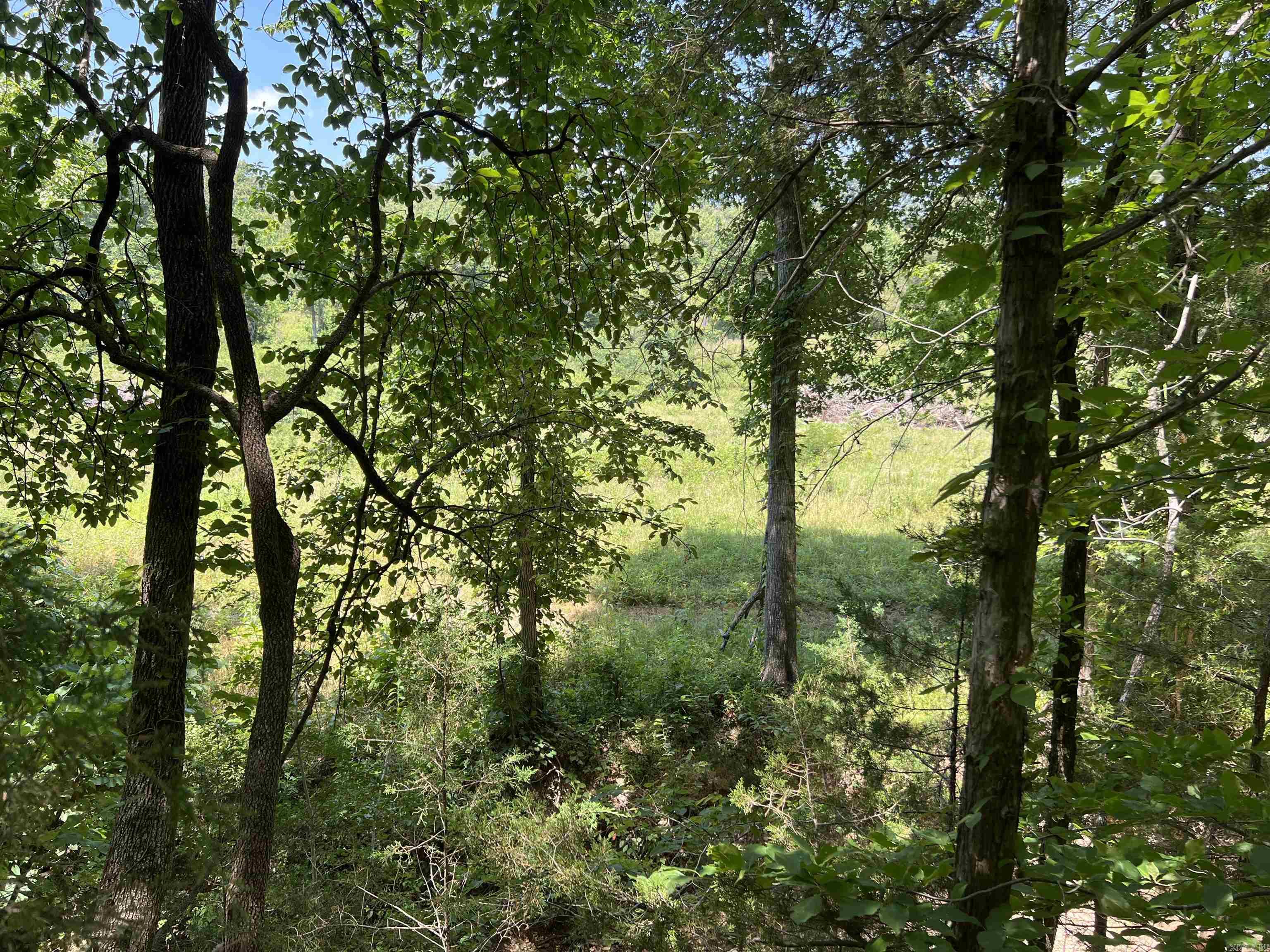 1717 Grassy  Marshall, AR