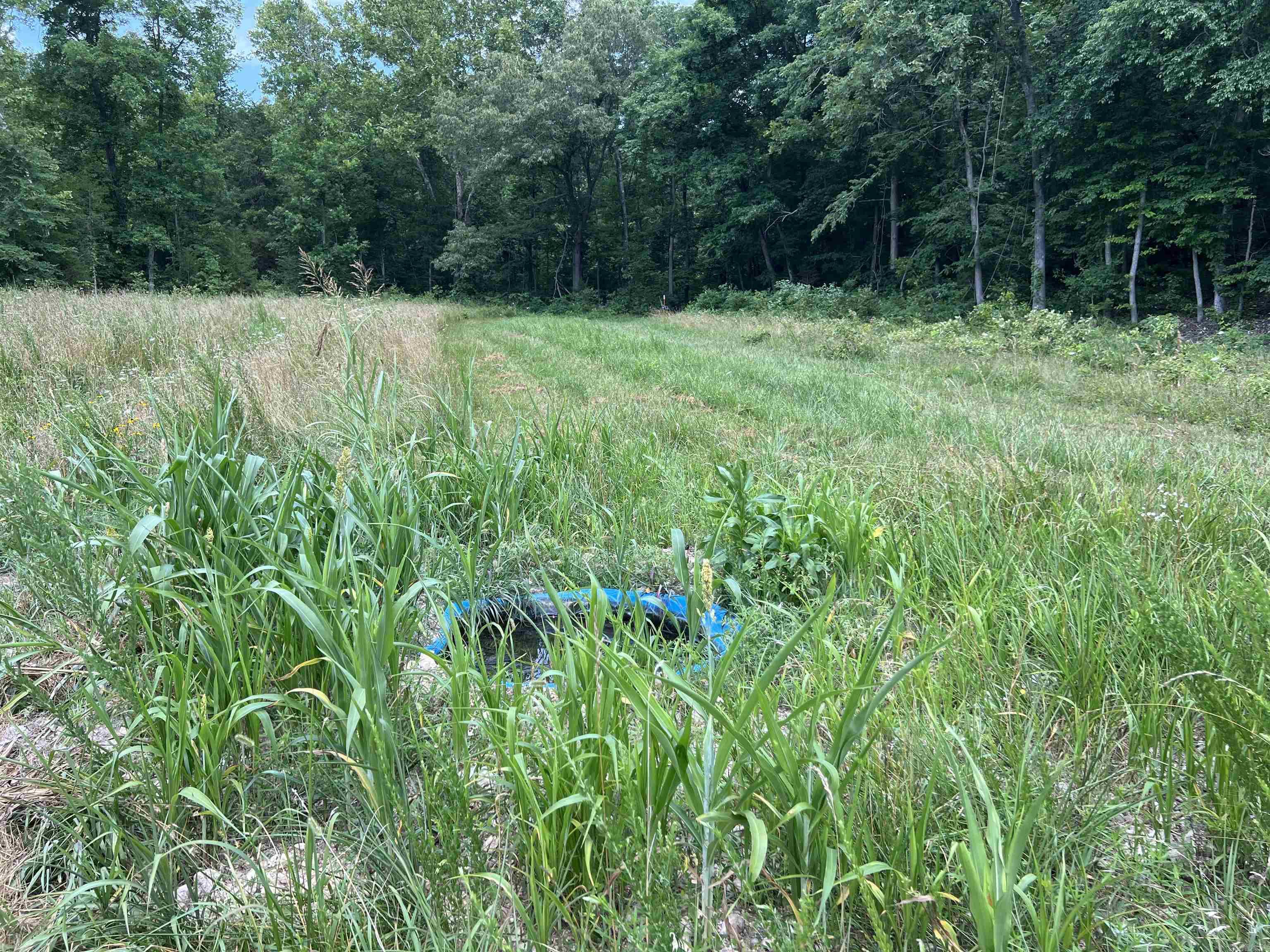 1717 Grassy  Marshall, AR