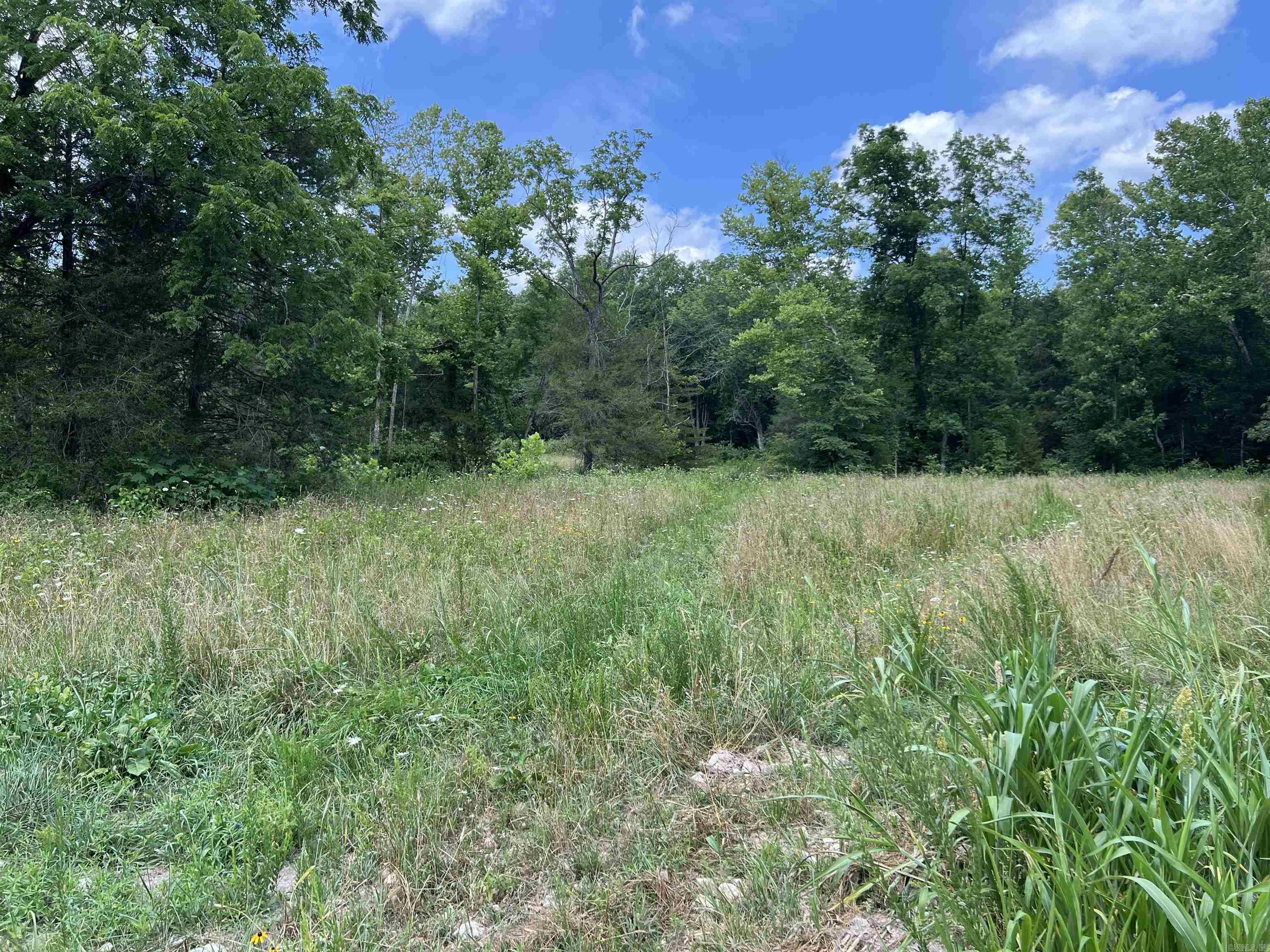 1717 Grassy  Marshall, AR